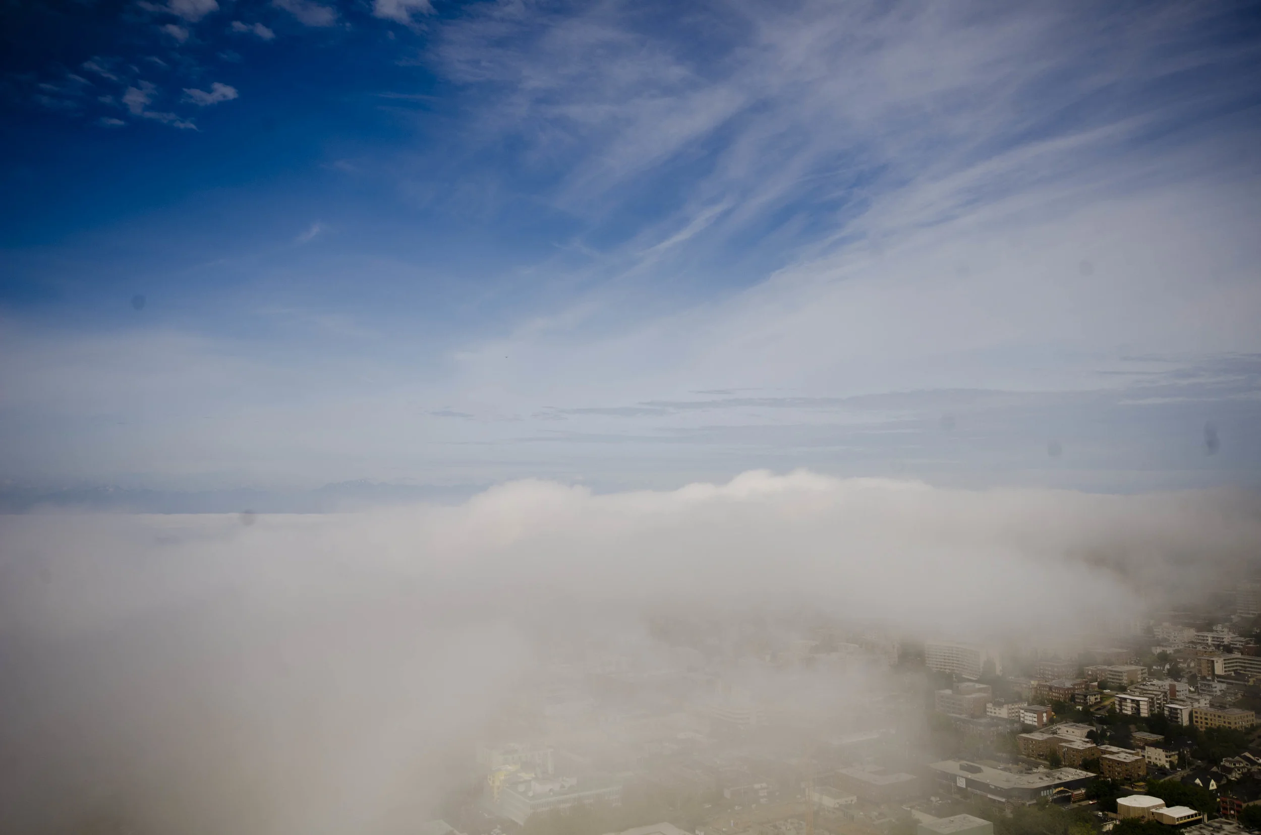 Day 39: an uncounted number of miles... on foot