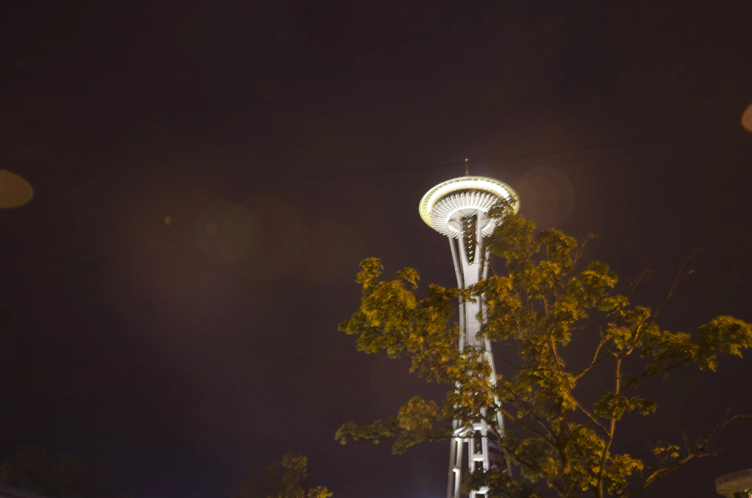 Day 39: an uncounted number of miles... on foot