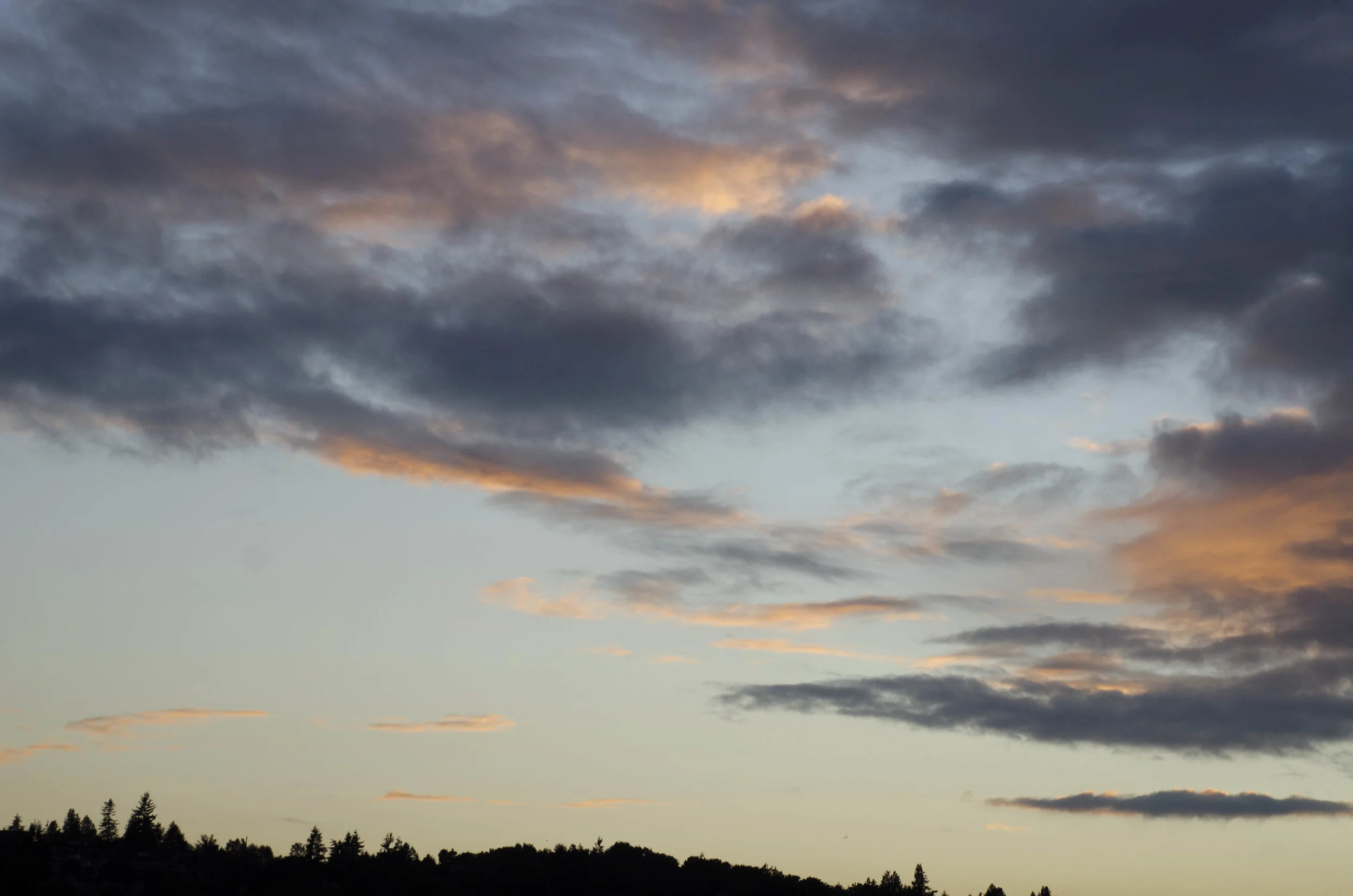 Day 39: an uncounted number of miles... on foot