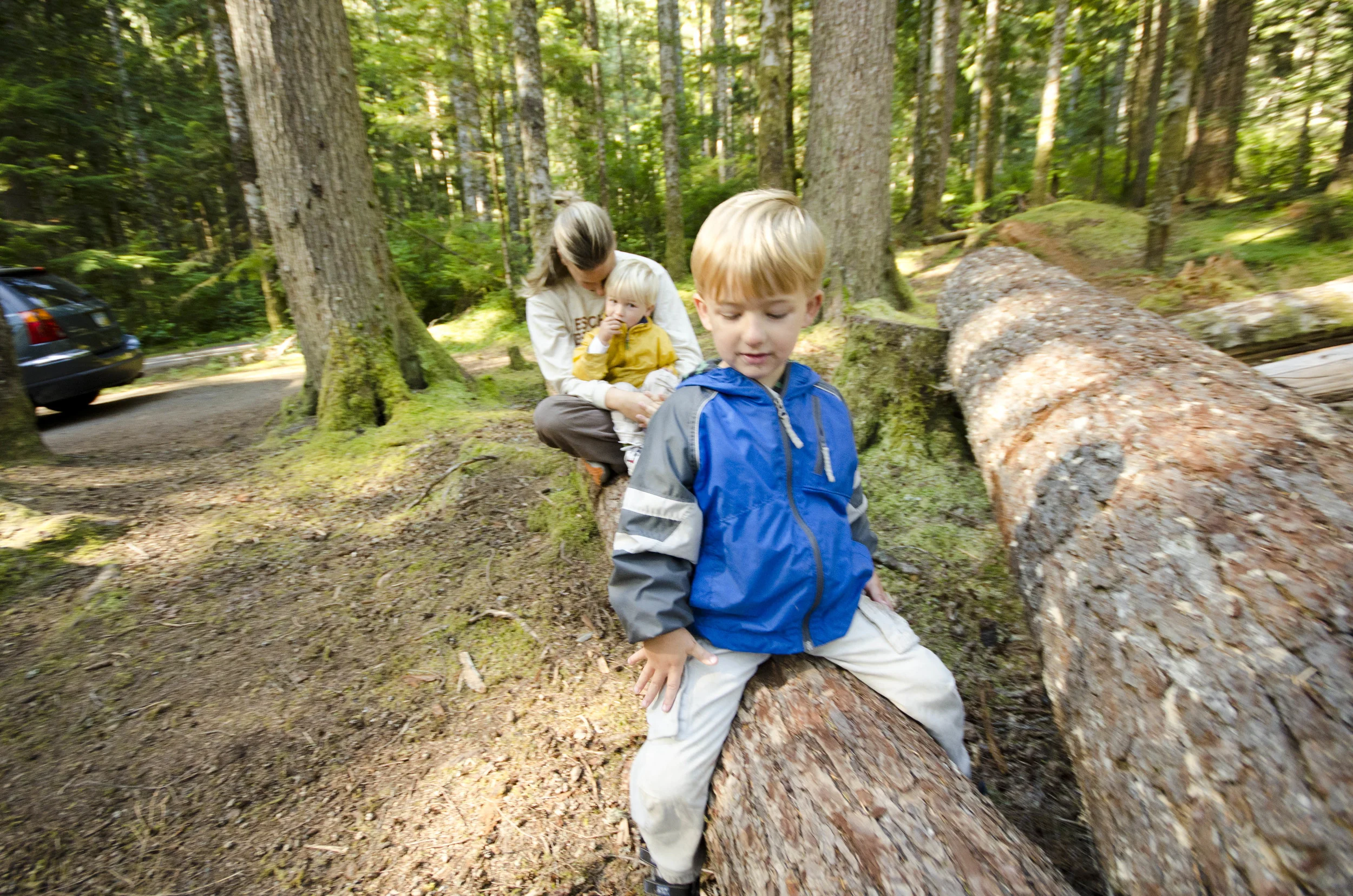 Day 36: Branching out