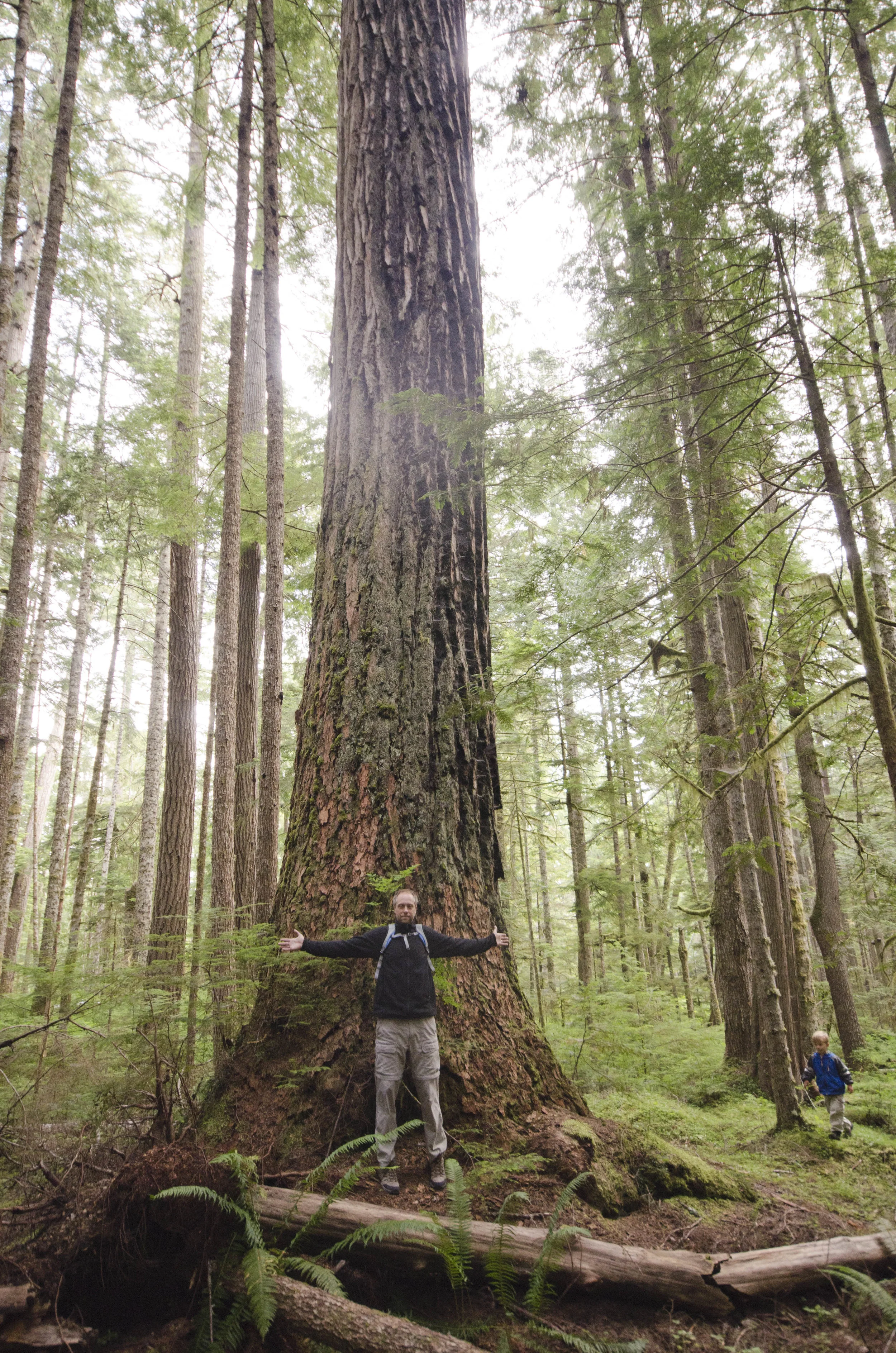 Day 36: Branching out