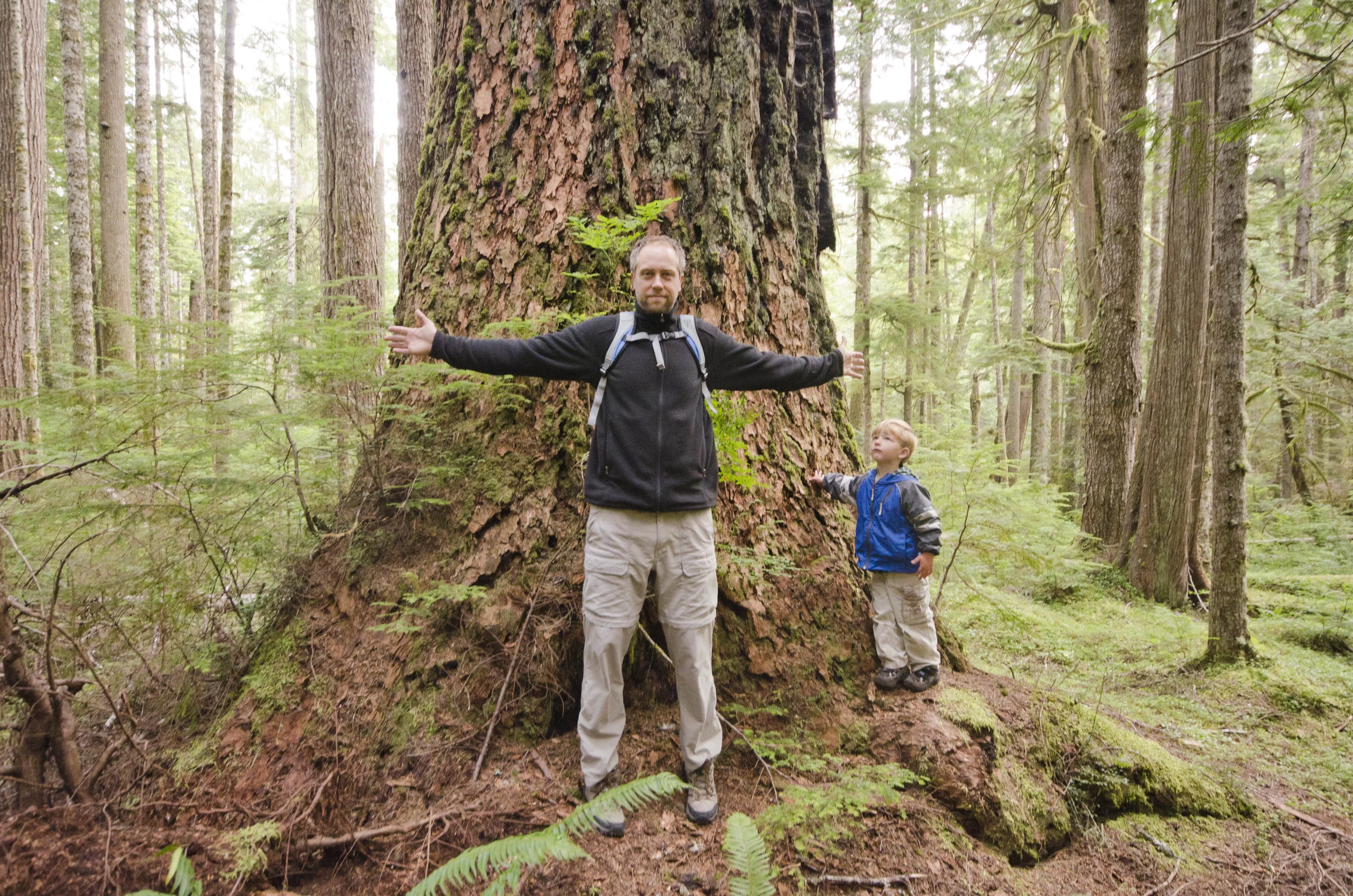 Day 36: Branching out