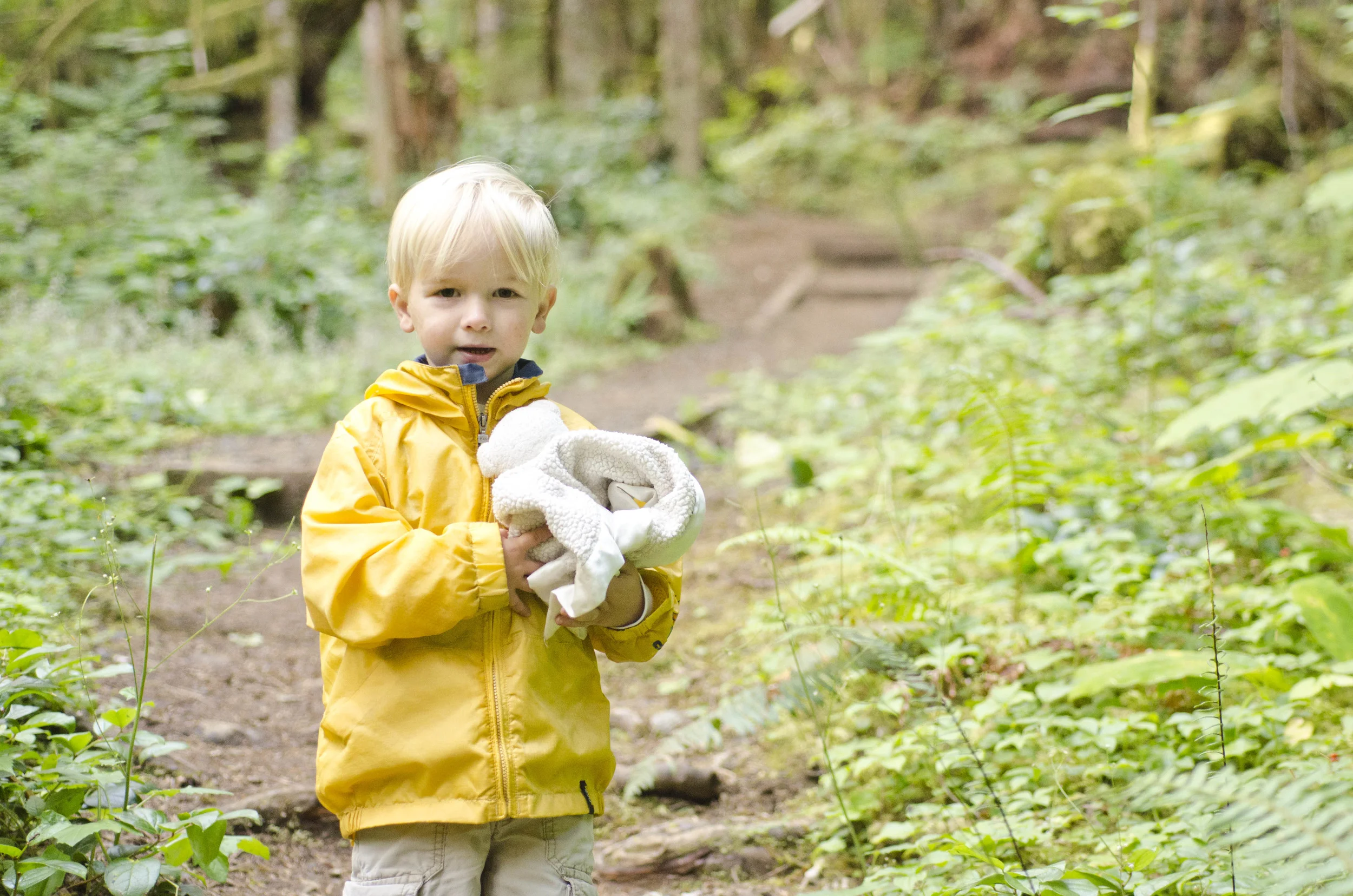 Day 36: Branching out