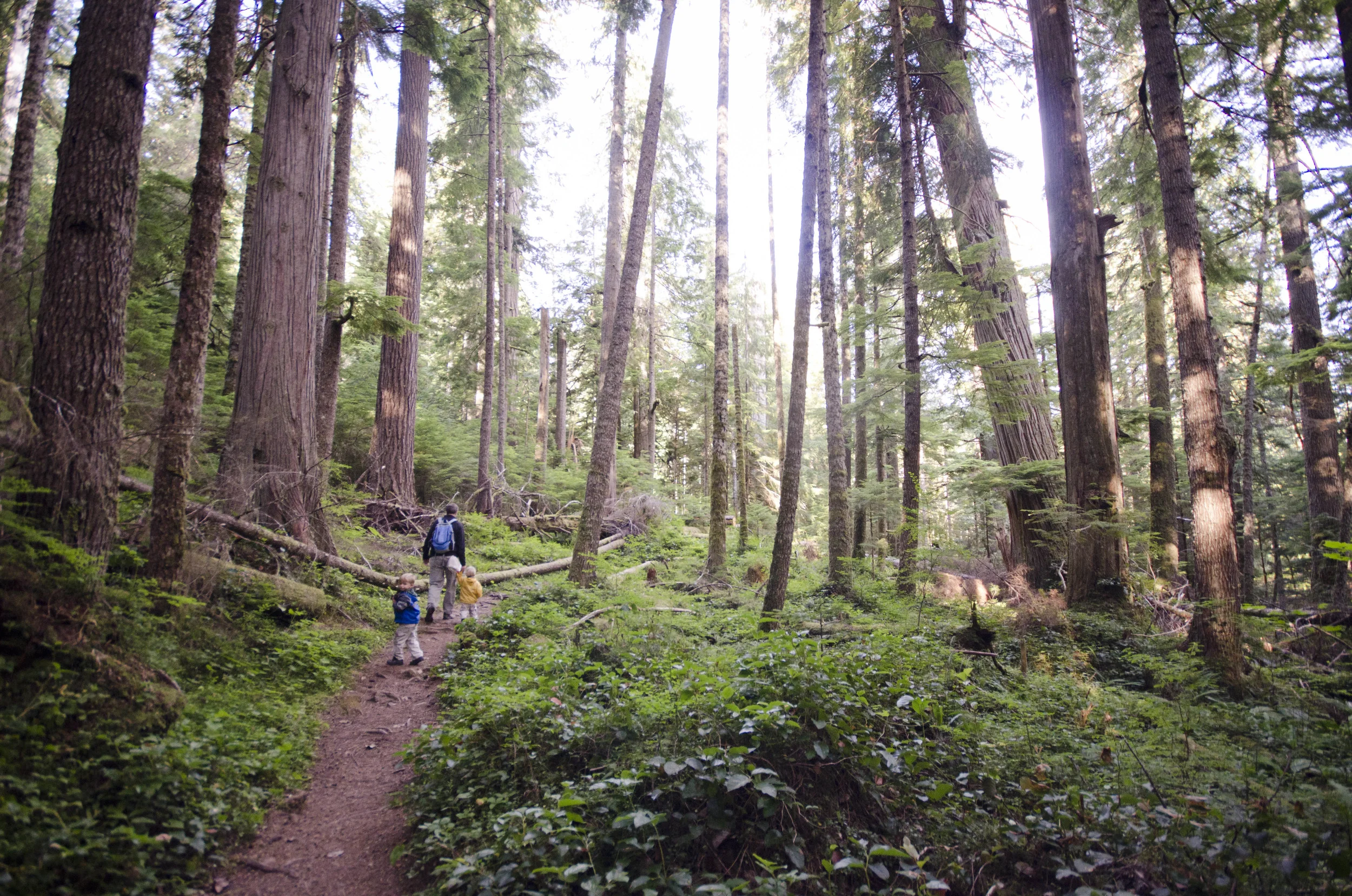 Day 36: Branching out