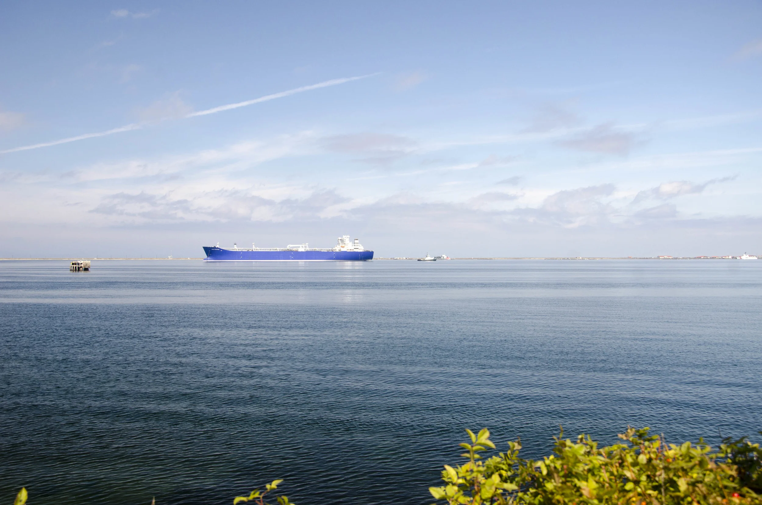 Day 36: Branching out