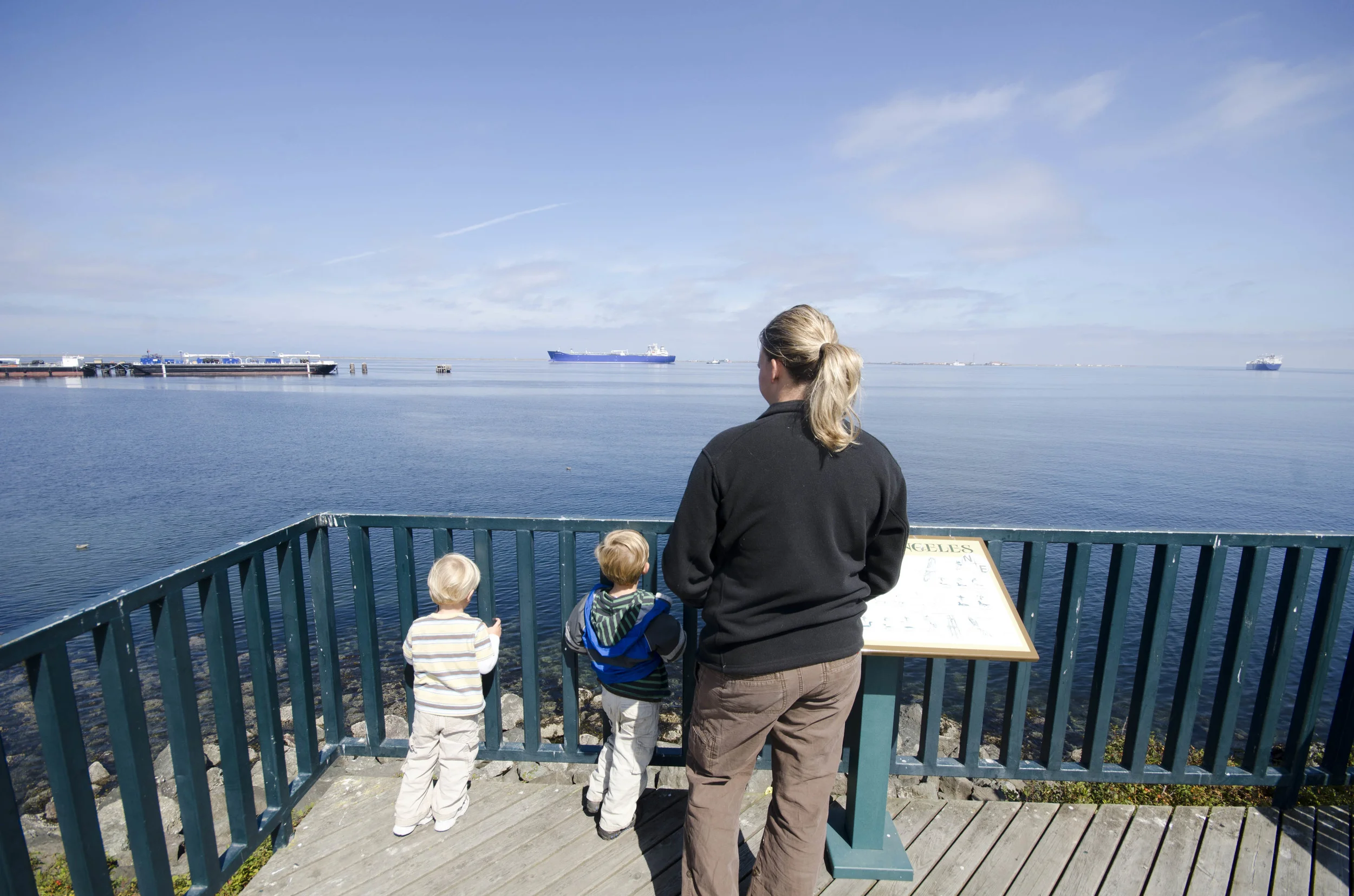 Day 36: Branching out