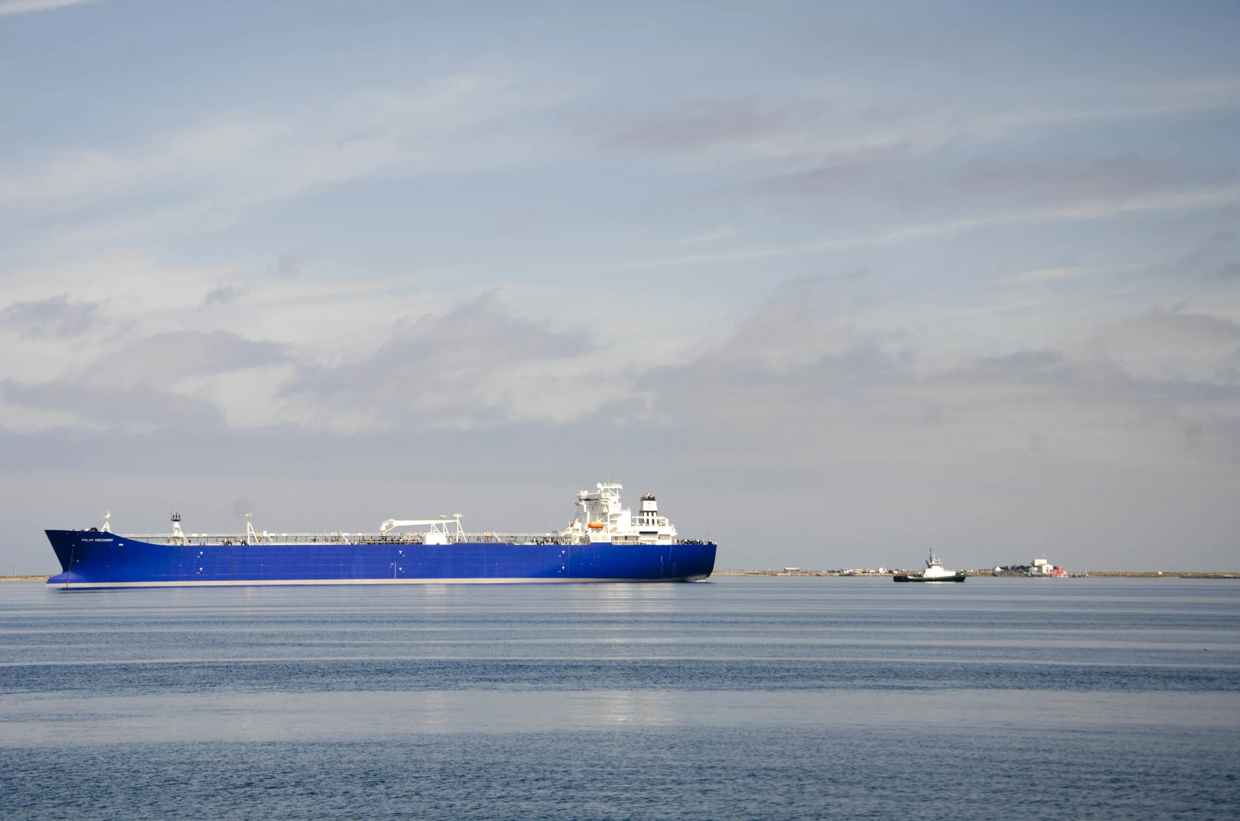 Day 36: Branching out