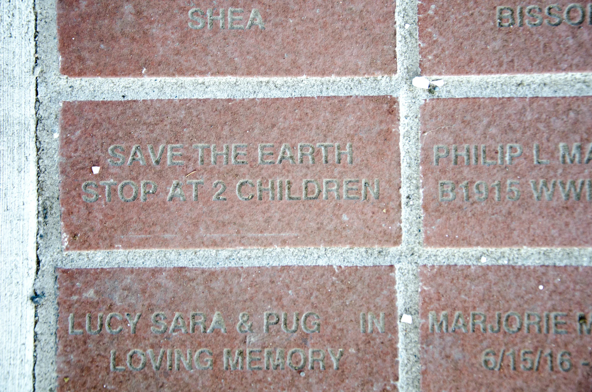 Day 36: Branching out