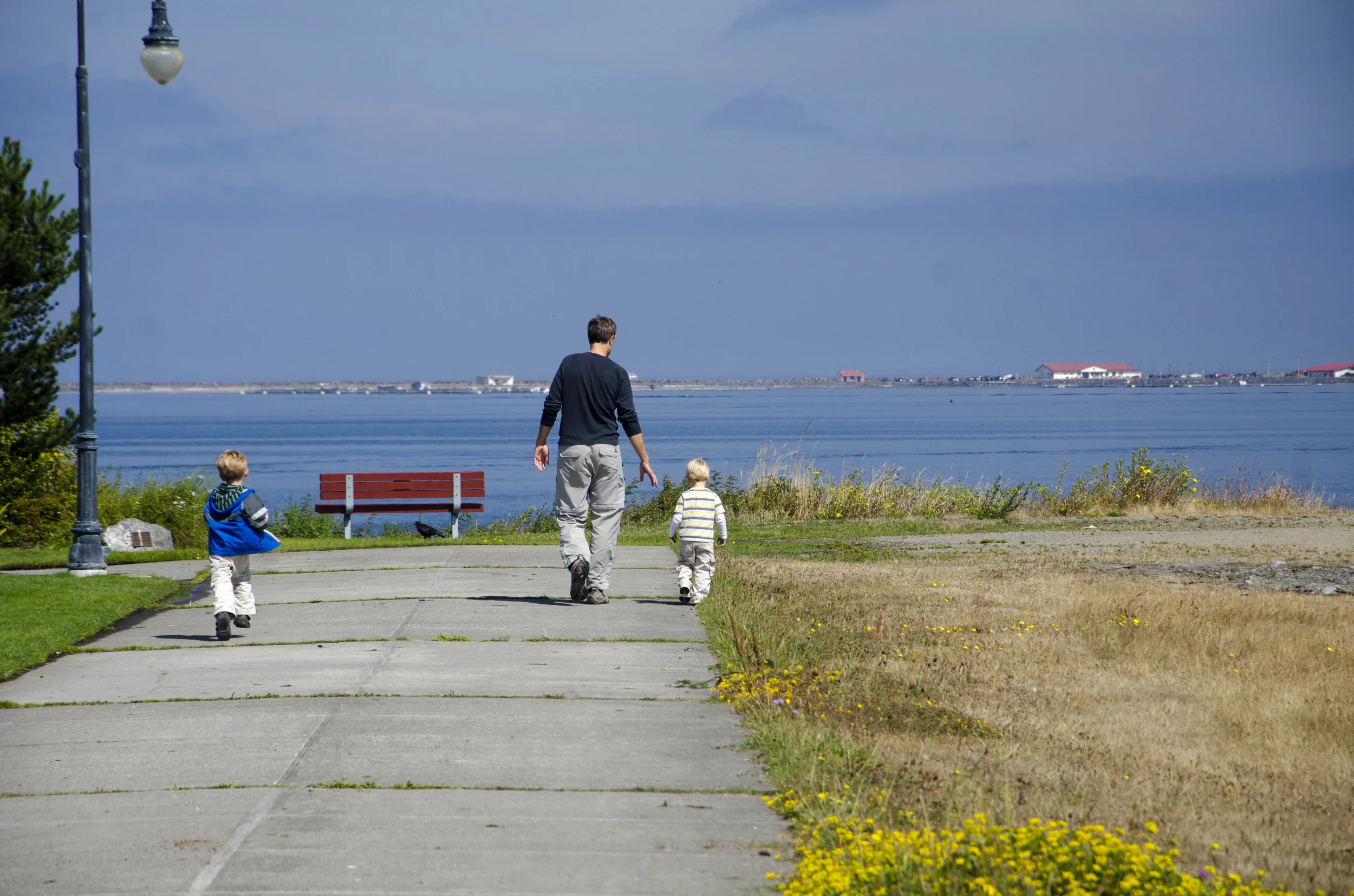 Day 36: Branching out