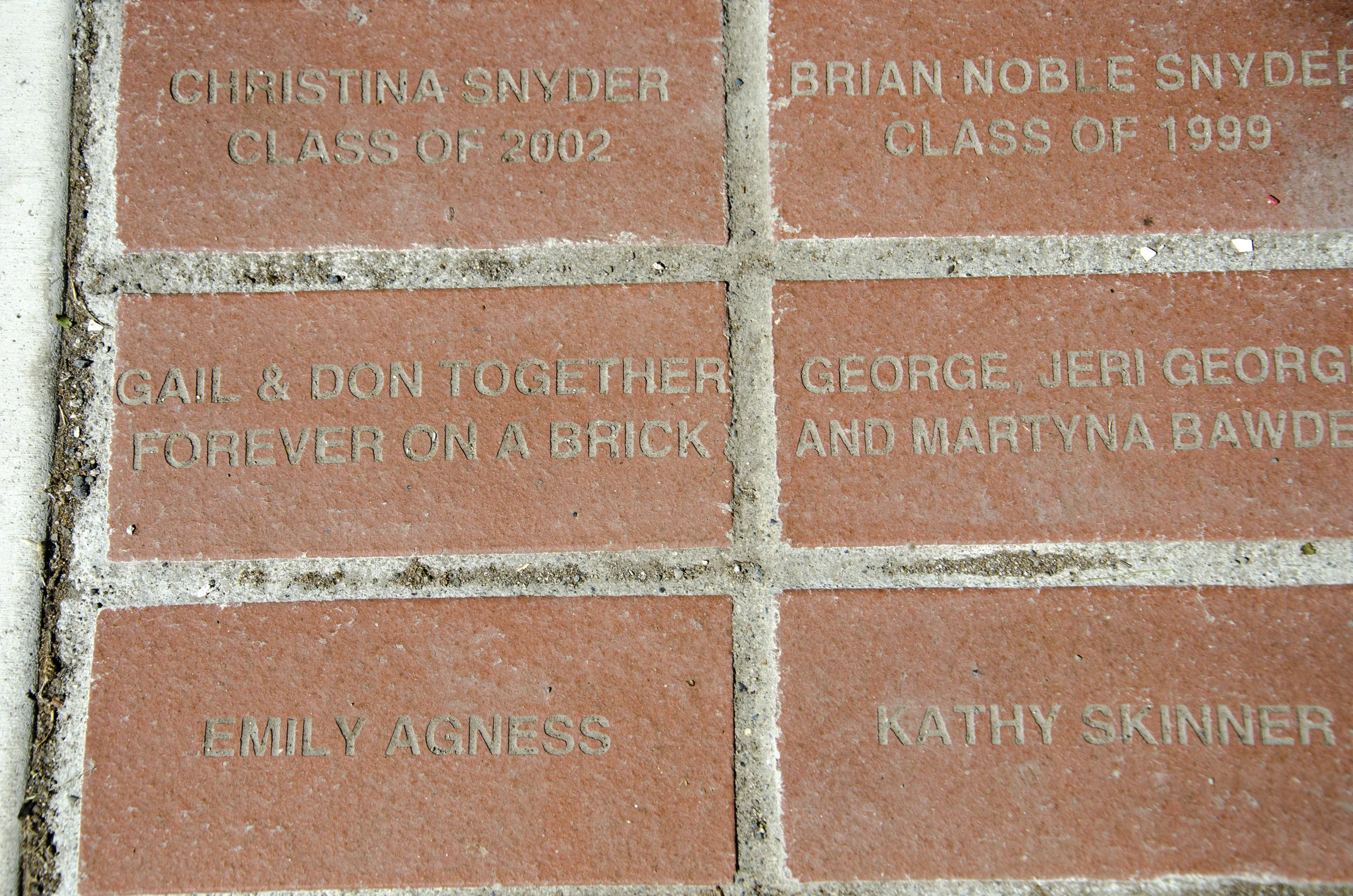 Day 36: Branching out