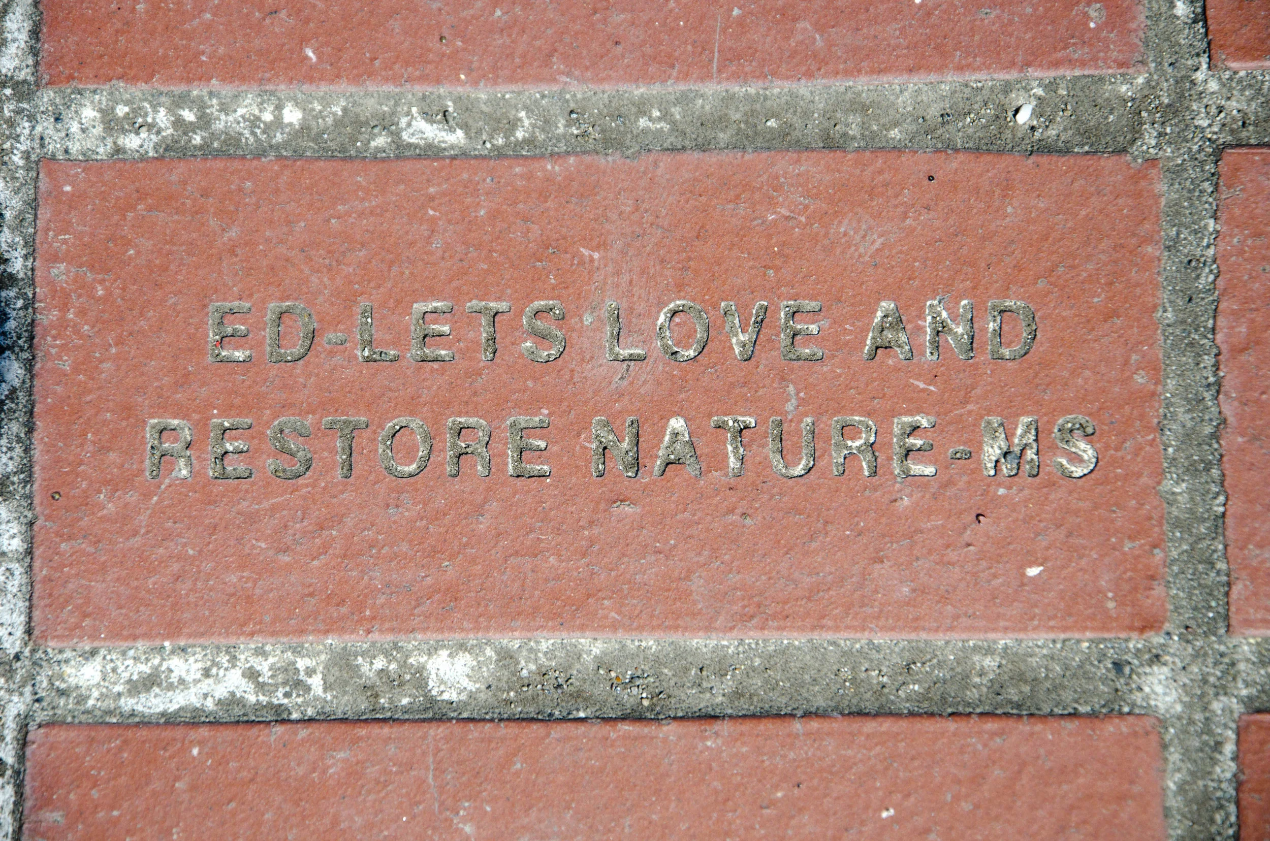 Day 36: Branching out