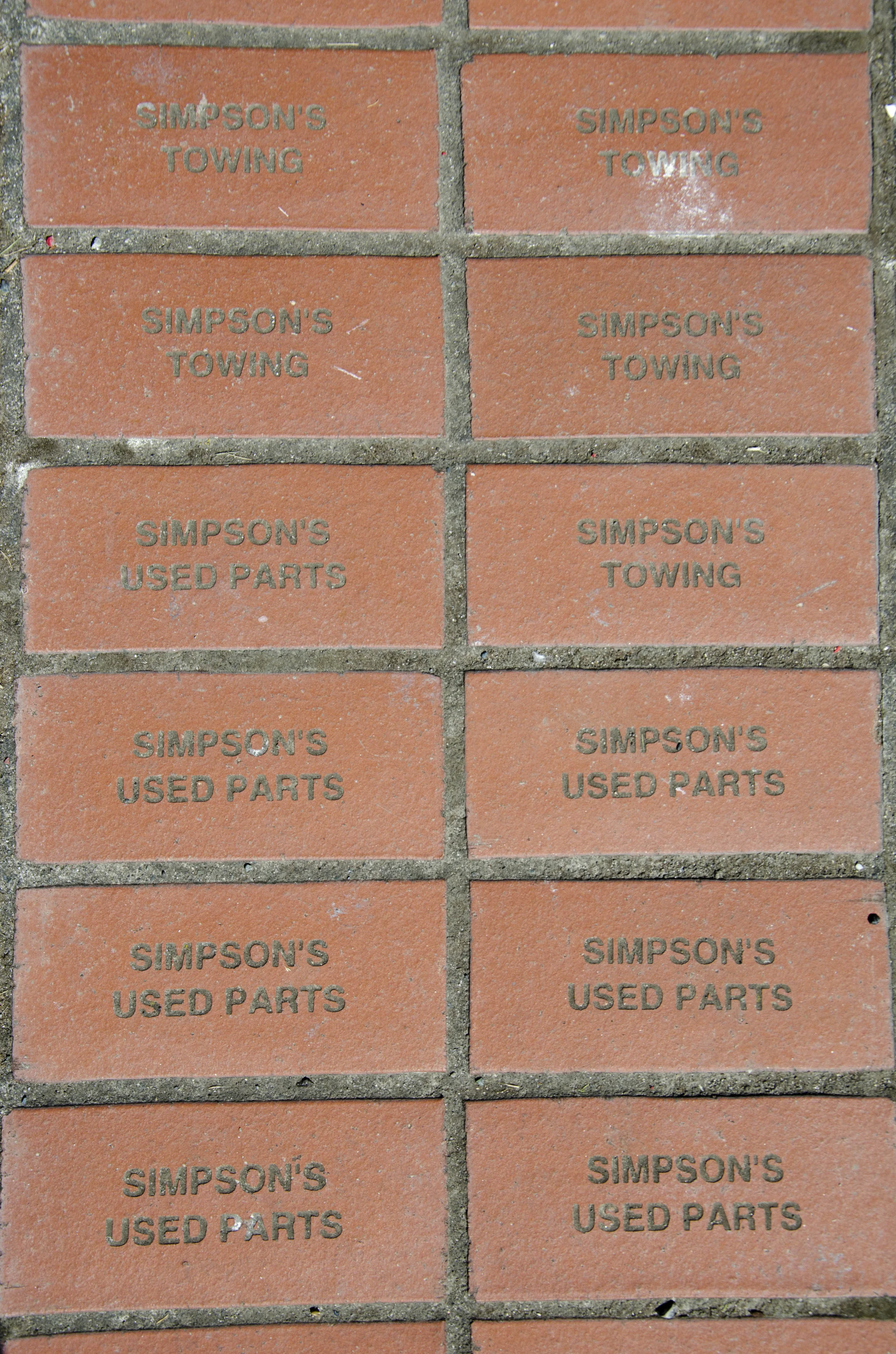 Day 36: Branching out