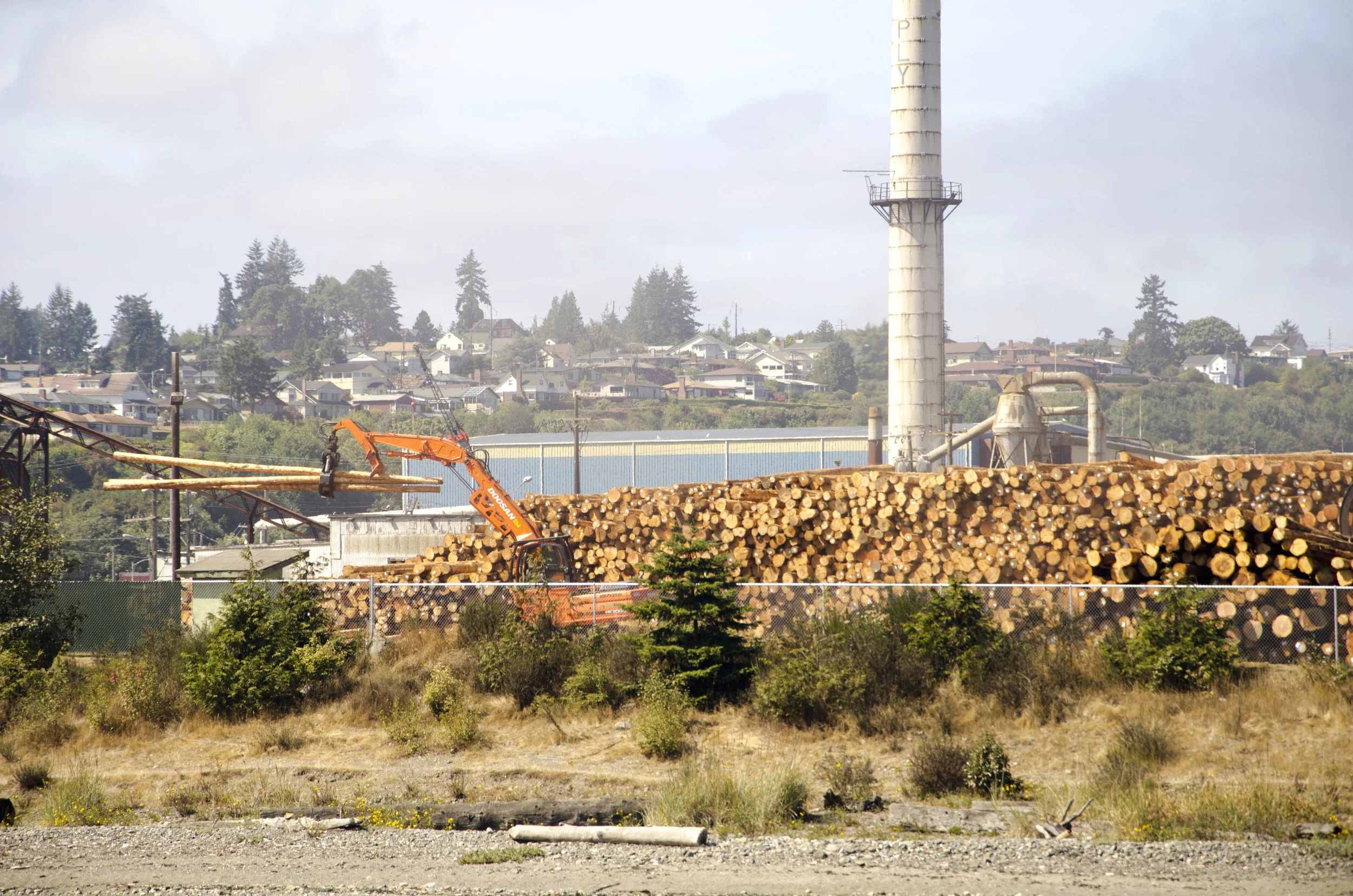 Day 36: Branching out