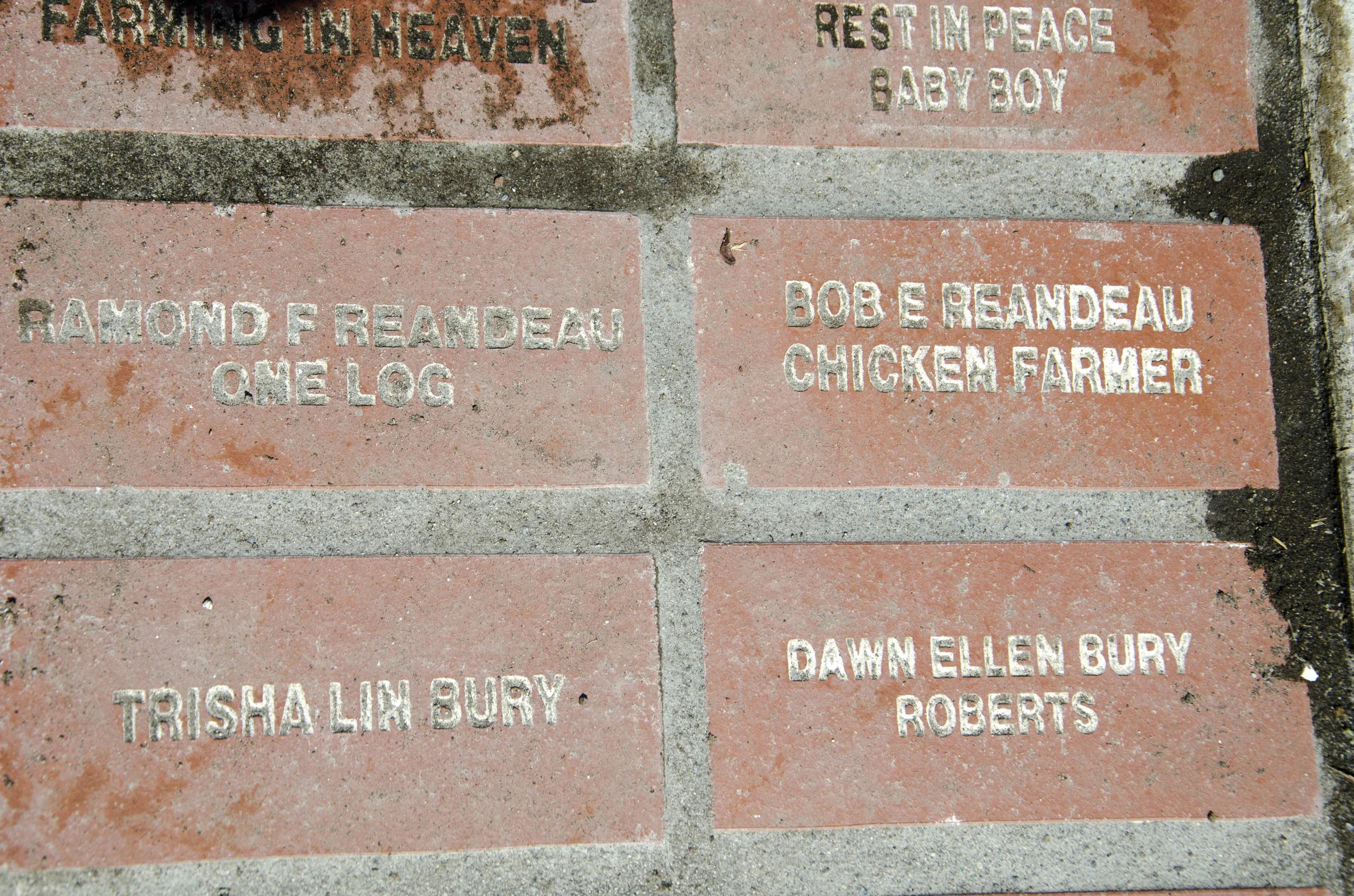 Day 36: Branching out