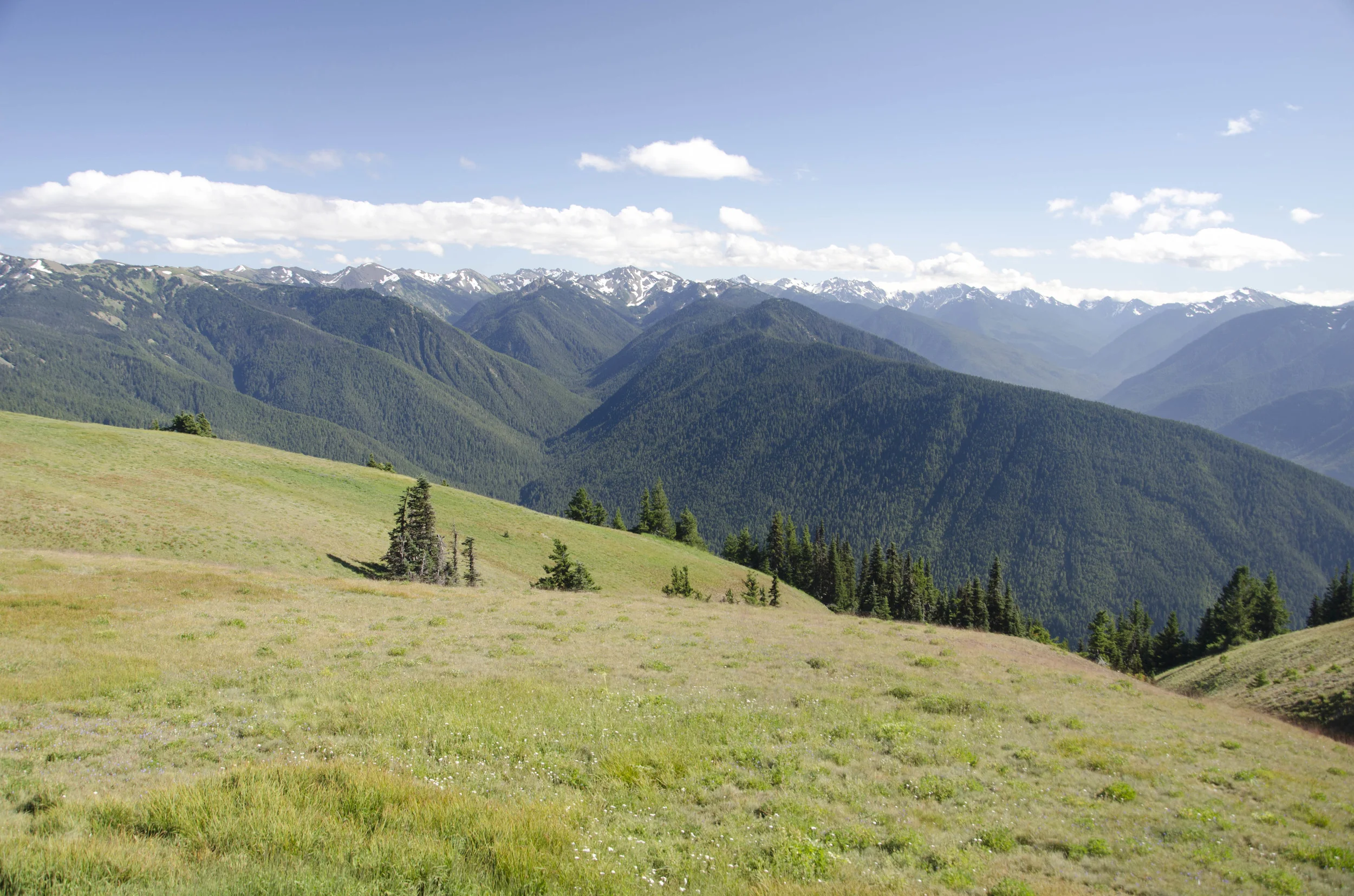 Day 36: Branching out