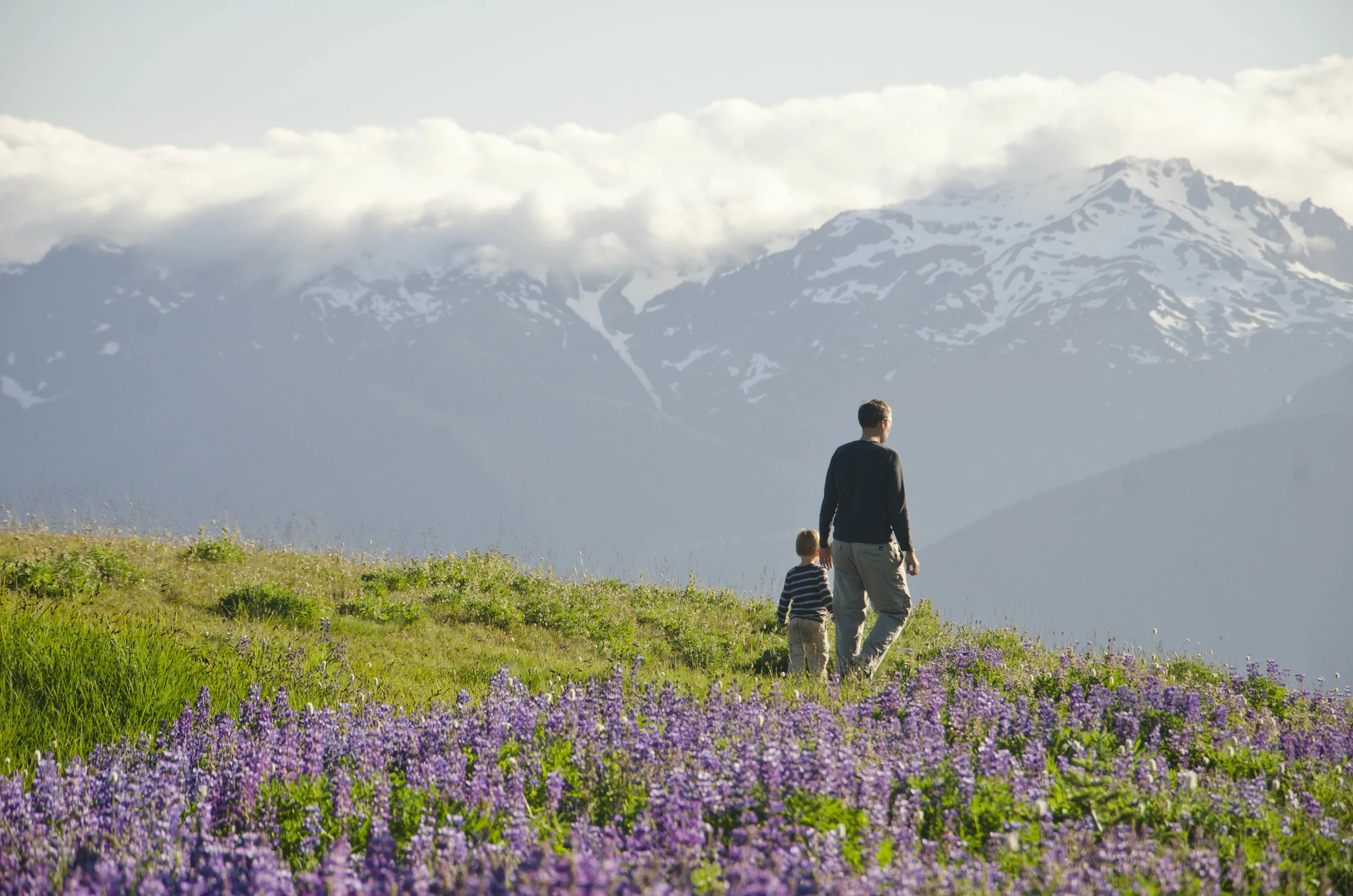 Day 36: Branching out