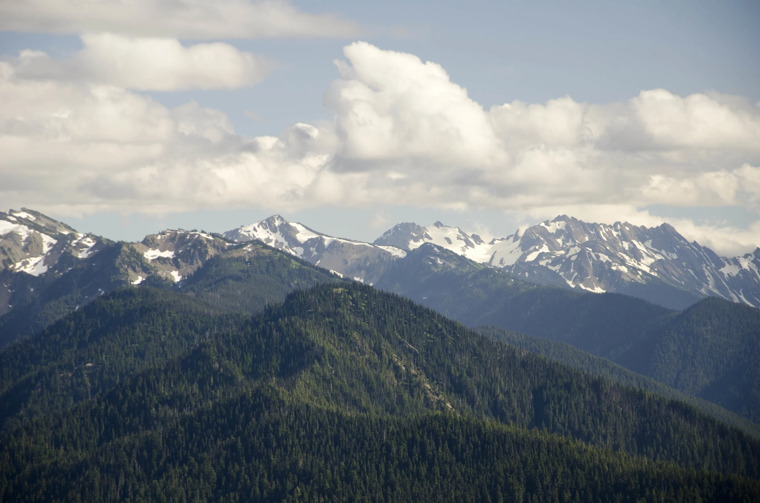 Day 36: Branching out