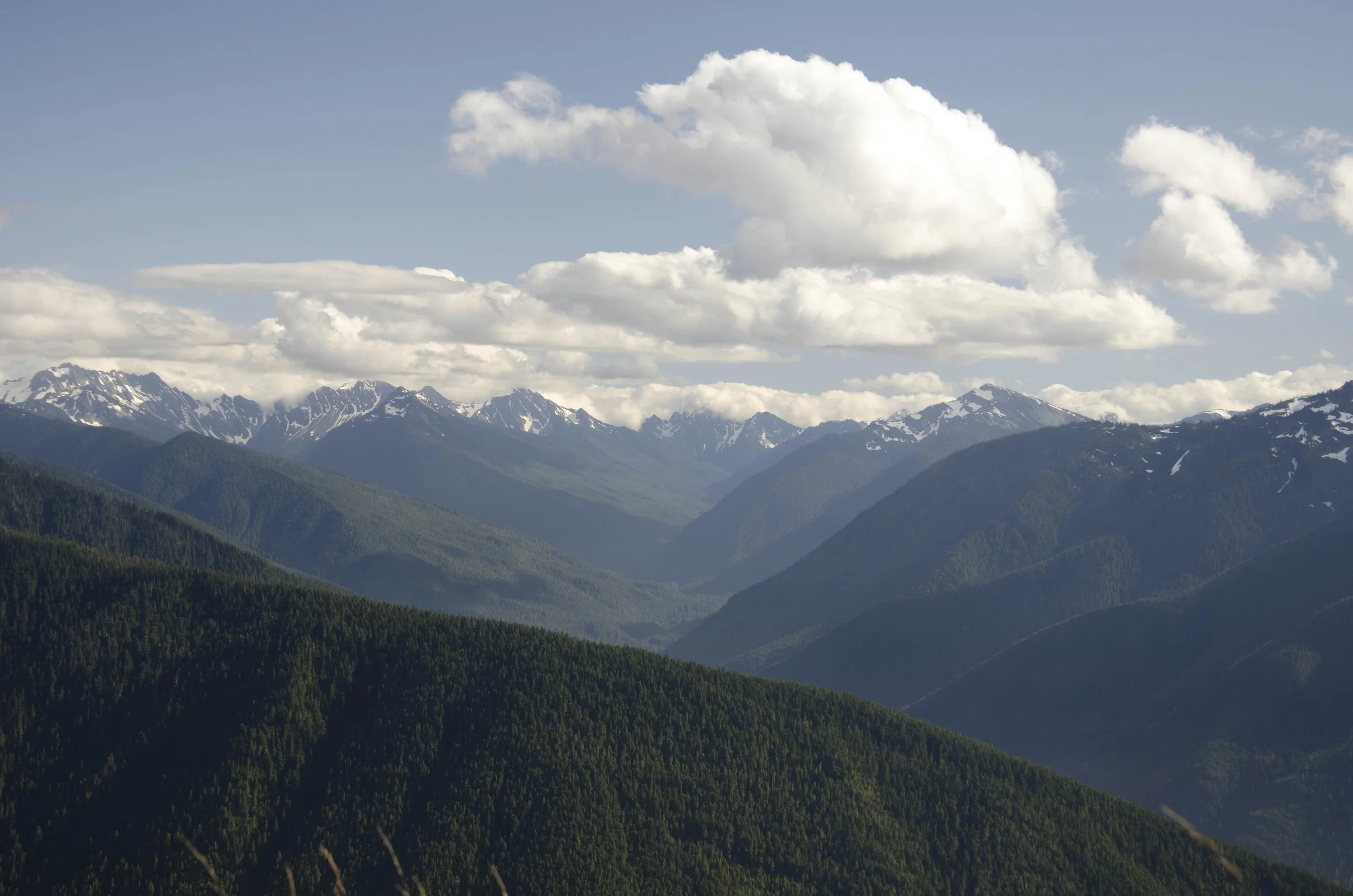 Day 36: Branching out