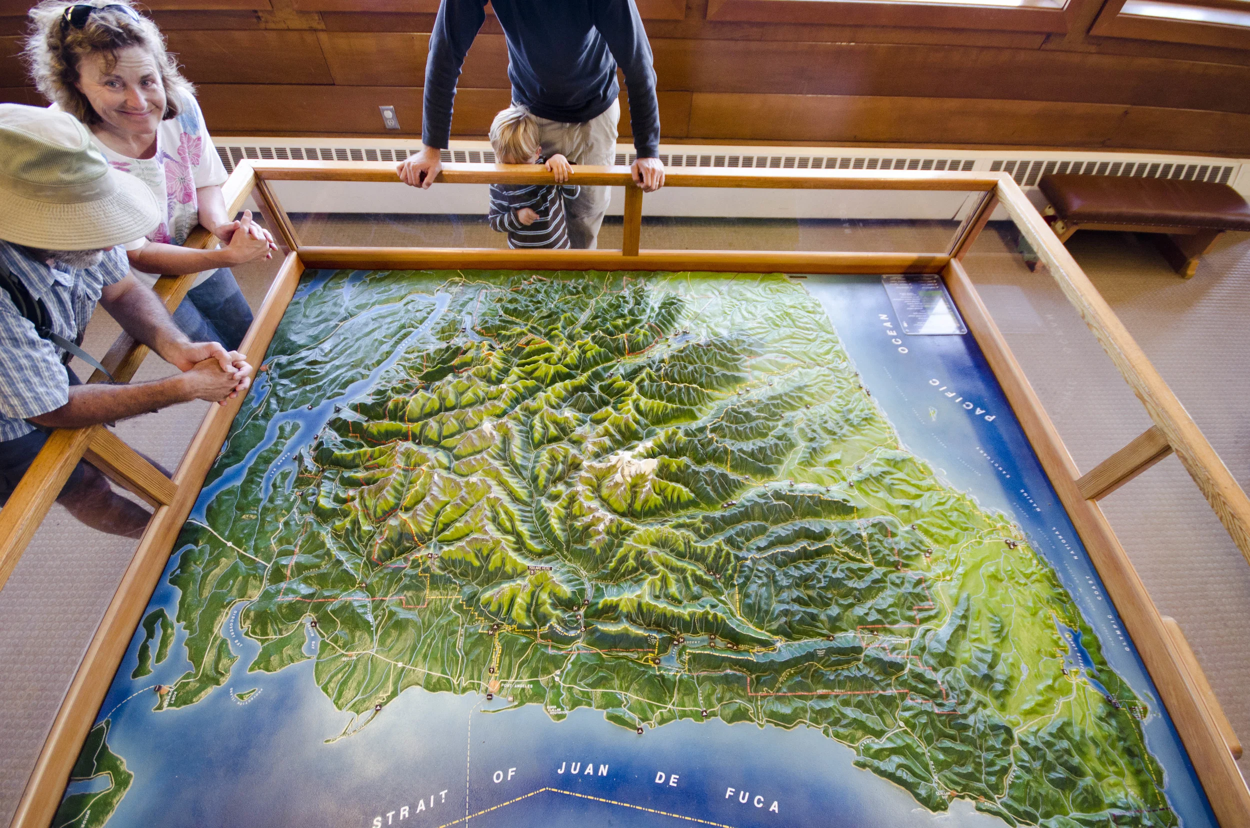 Day 36: Branching out