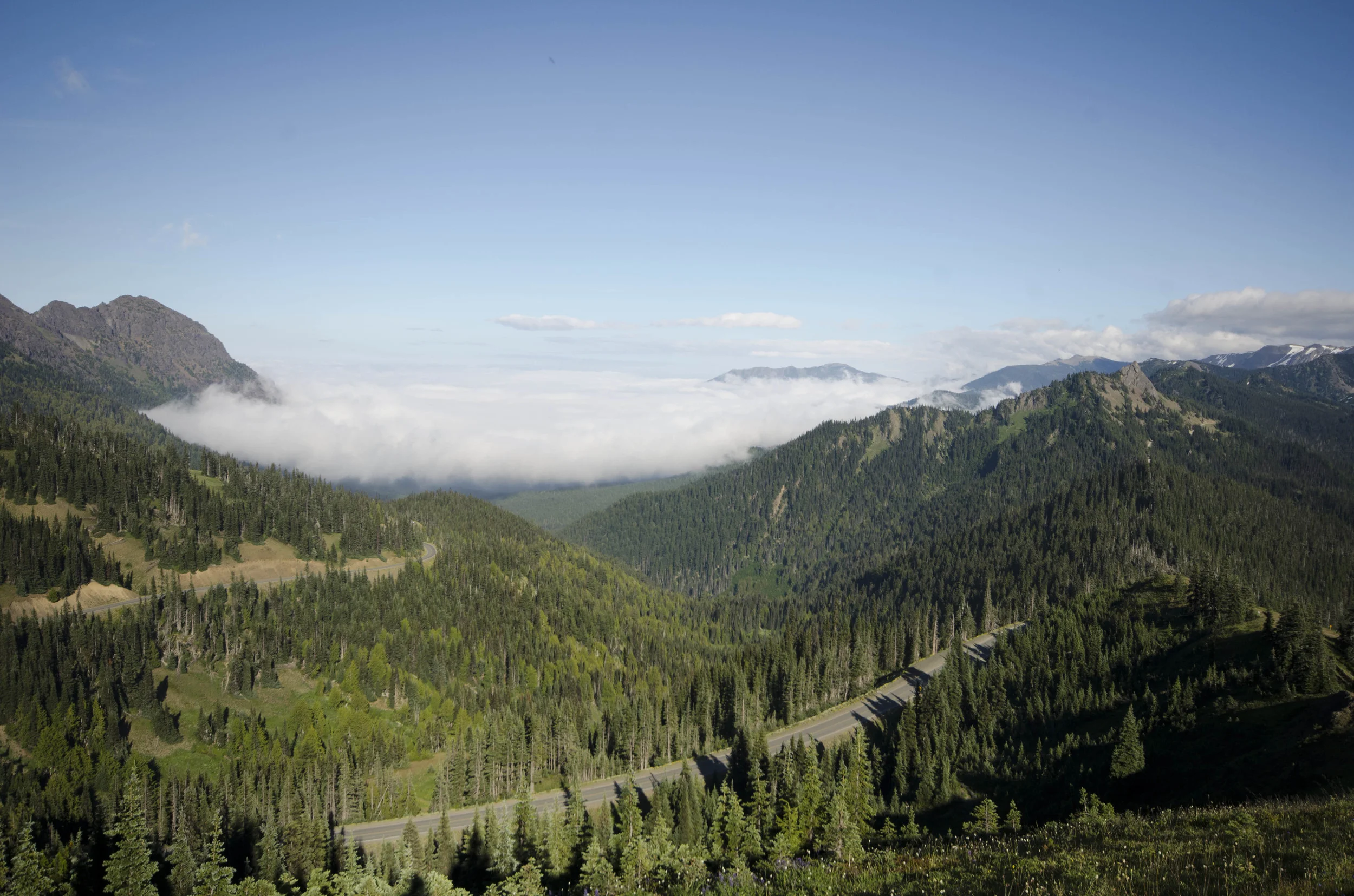 Day 36: Branching out