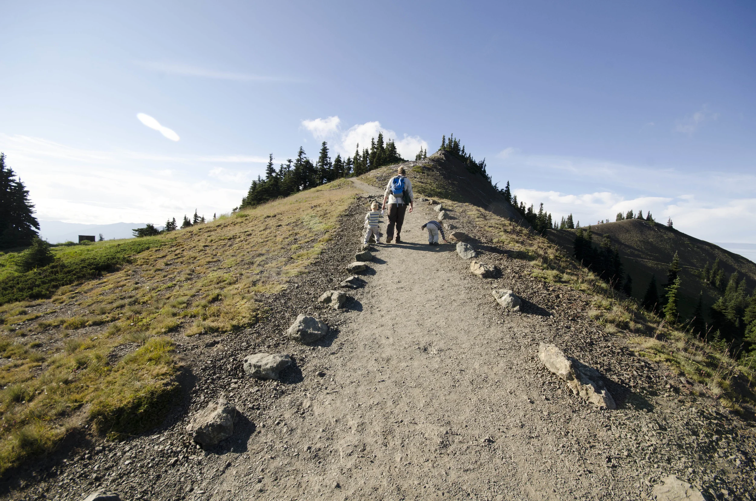 Day 36: Branching out