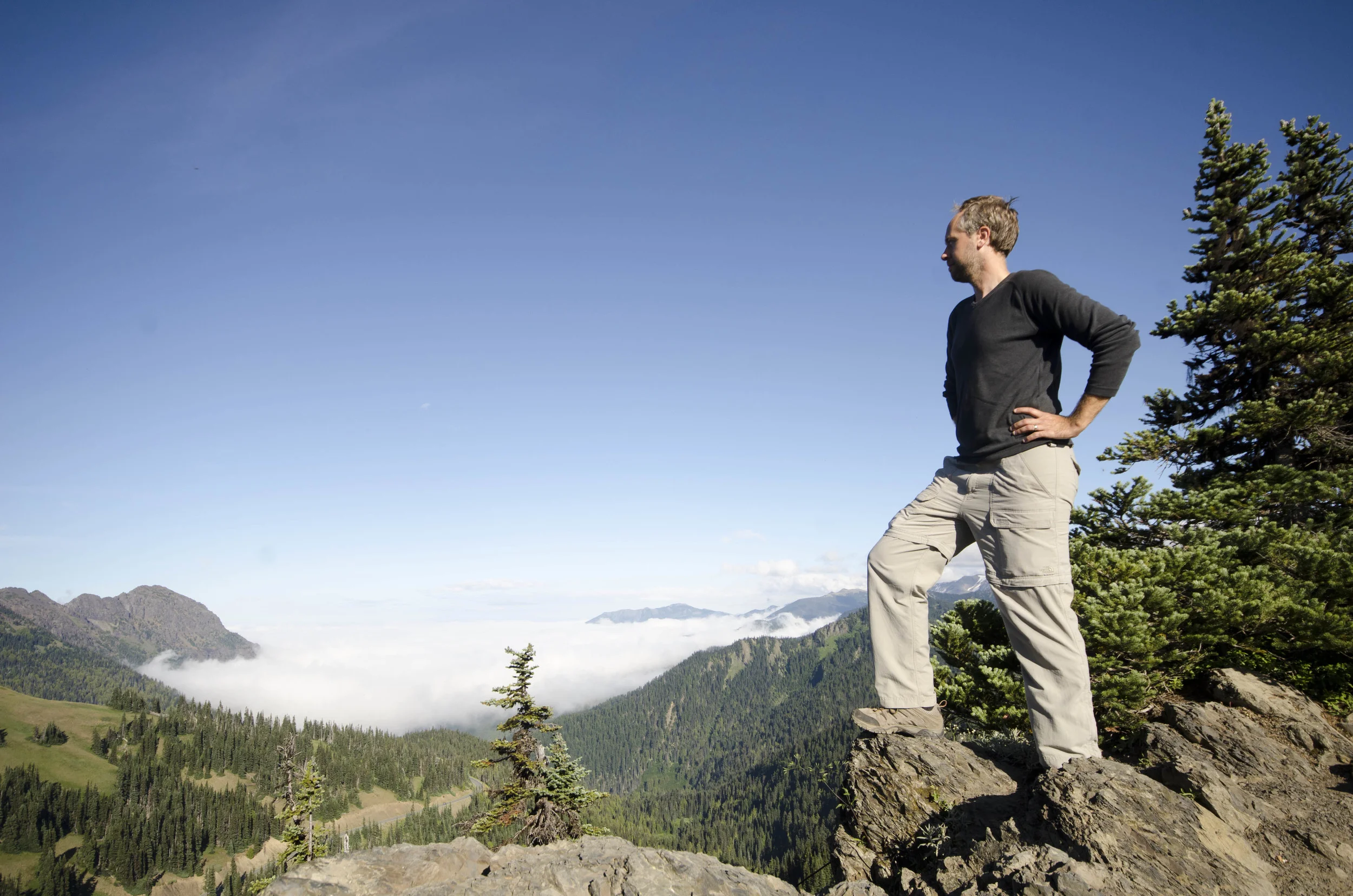 Day 36: Branching out