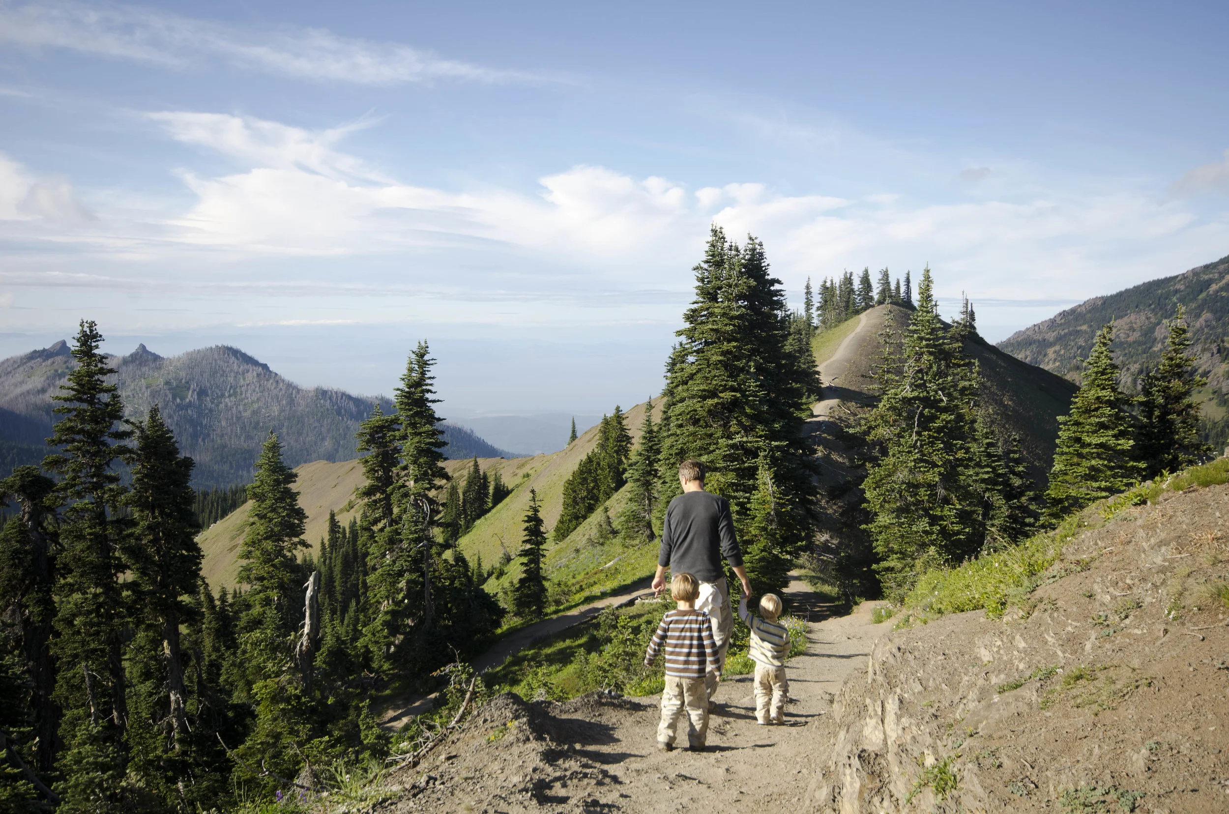 Day 36: Branching out