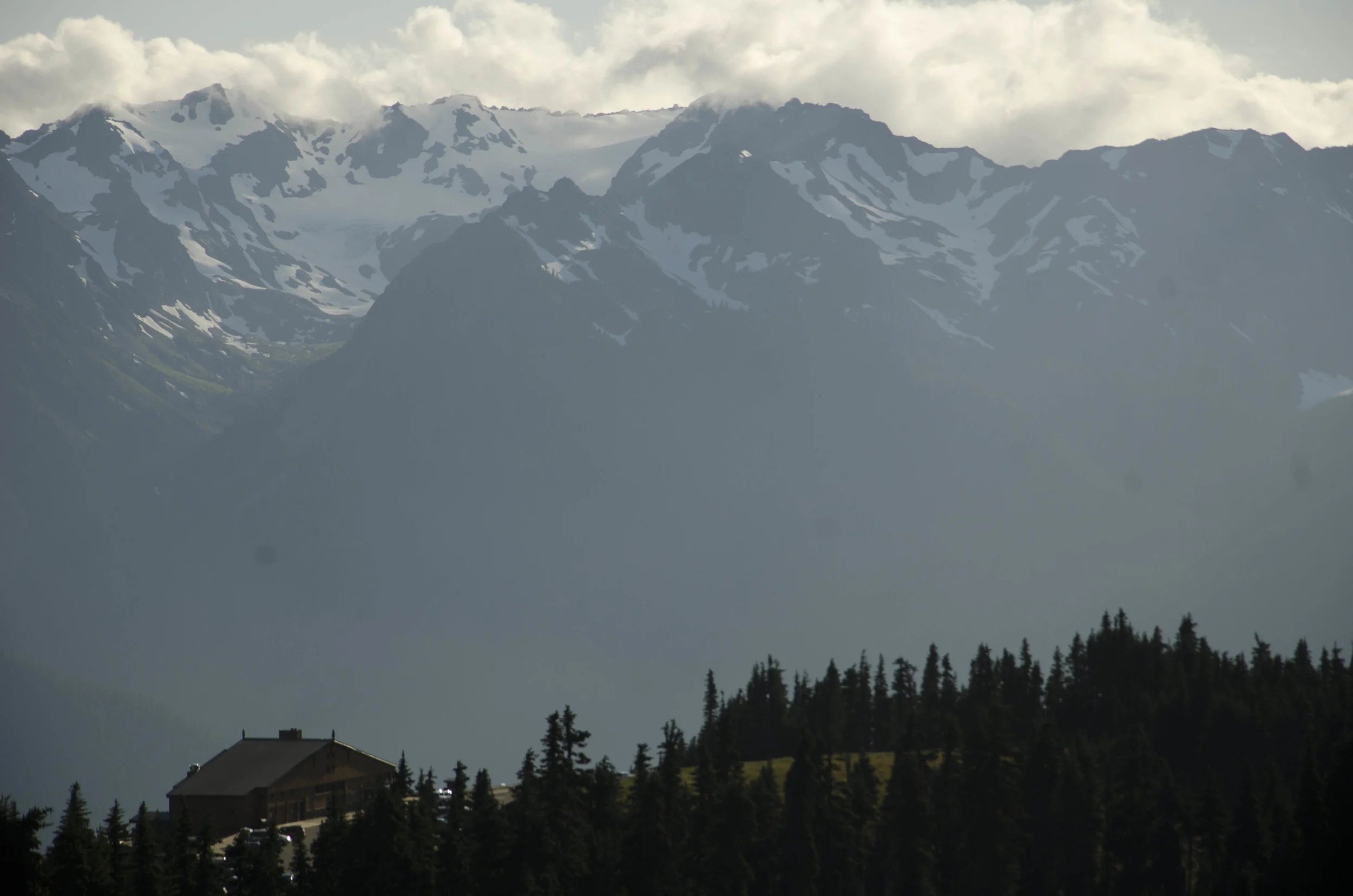 Day 36: Branching out