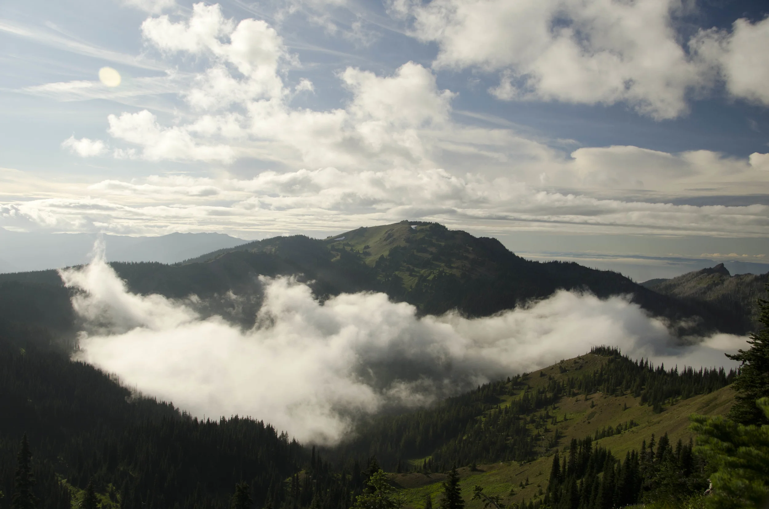 Day 36: Branching out