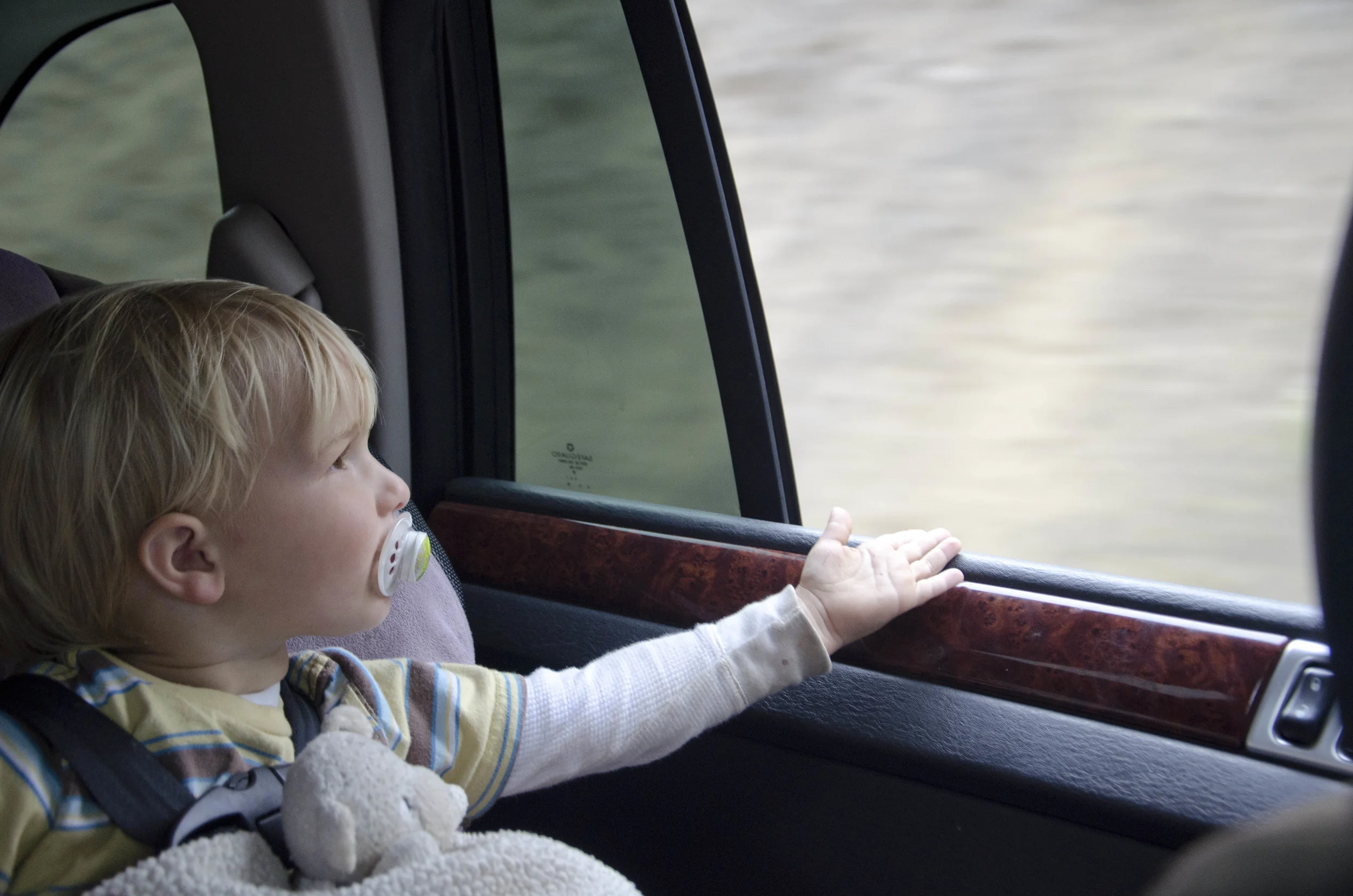 Day 36: Branching out