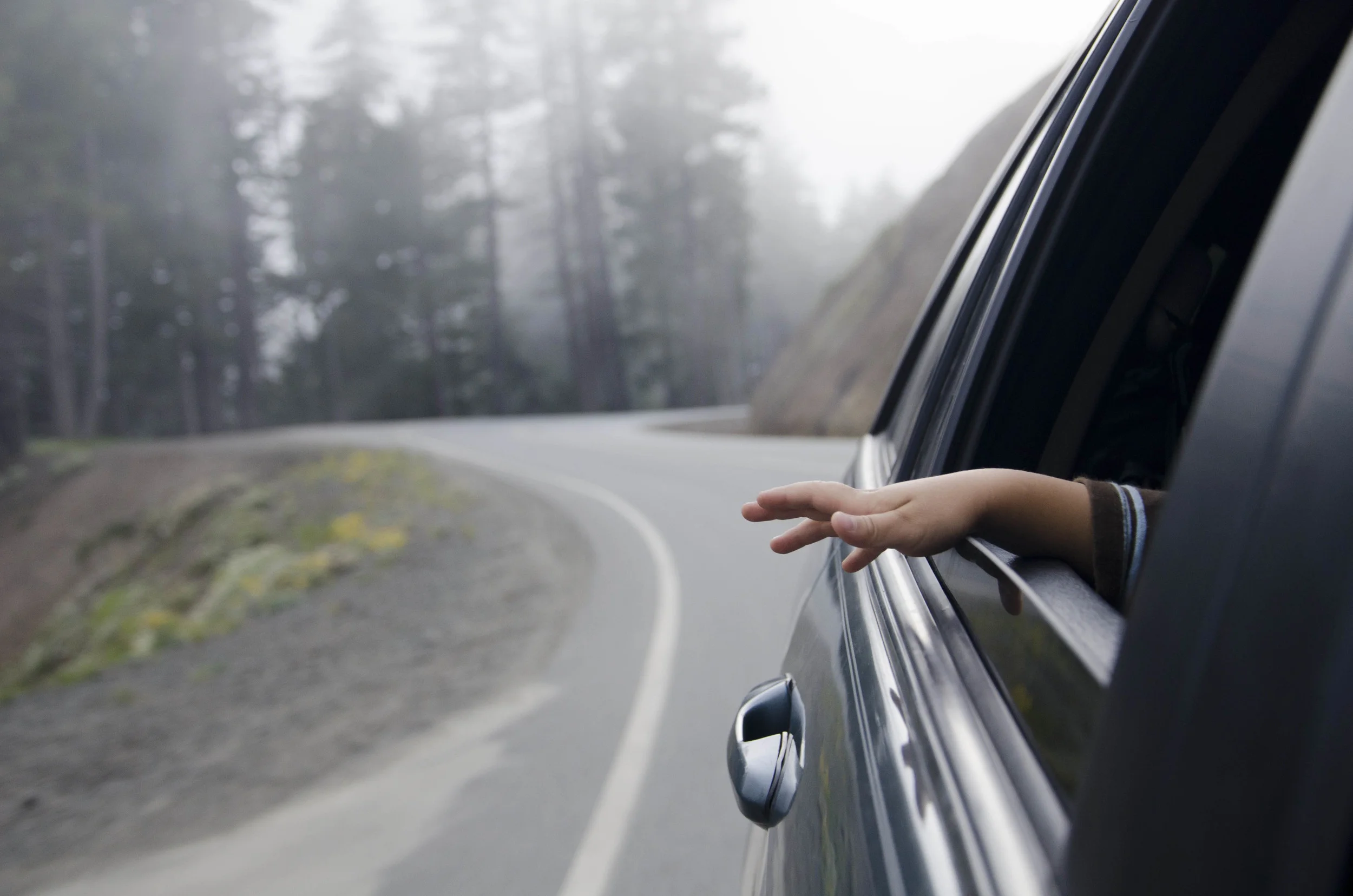 Day 36: Branching out