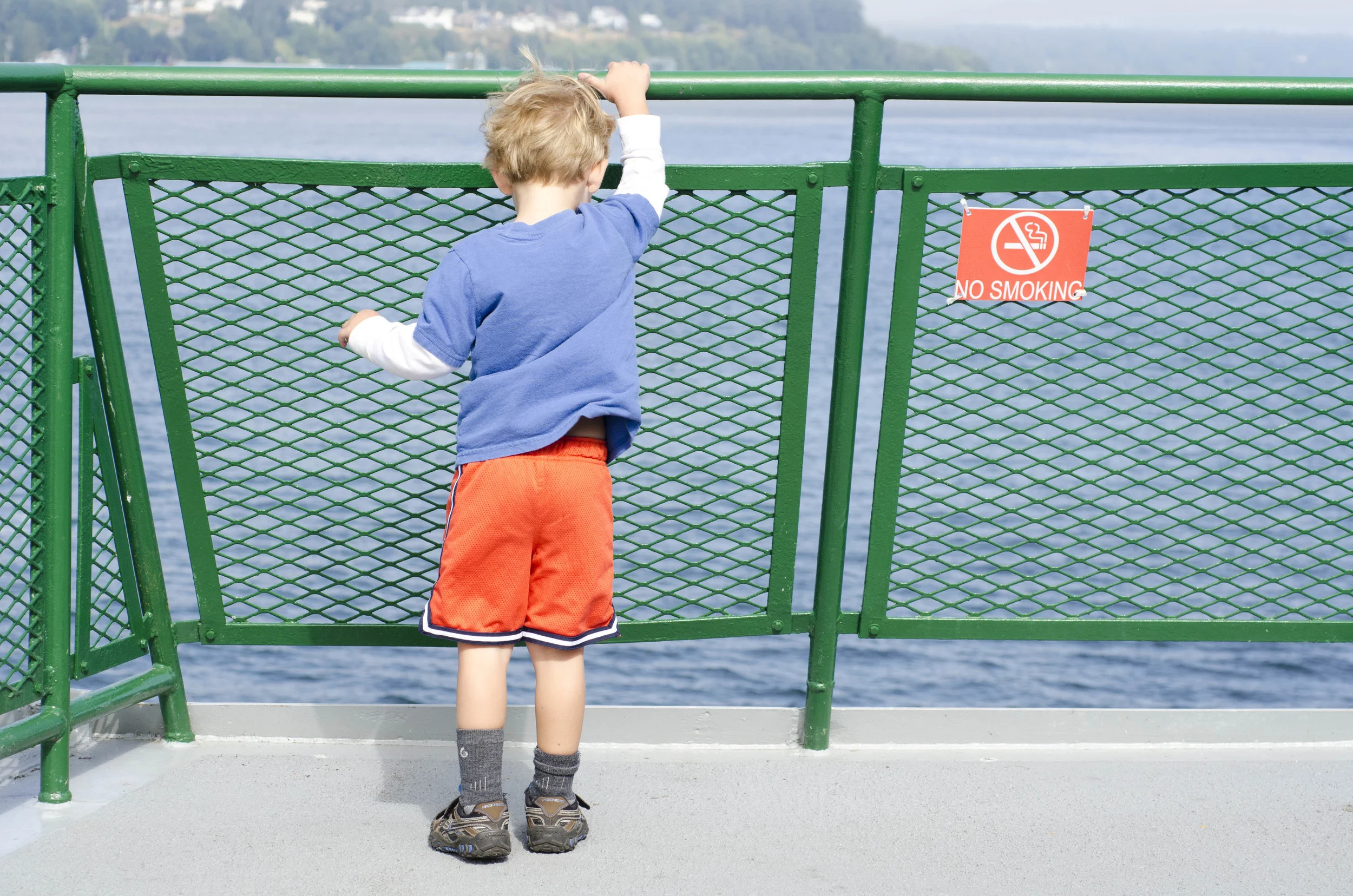 Day 35: 125 miles, 2 ferries, a serious case of deja vu and a magical forest