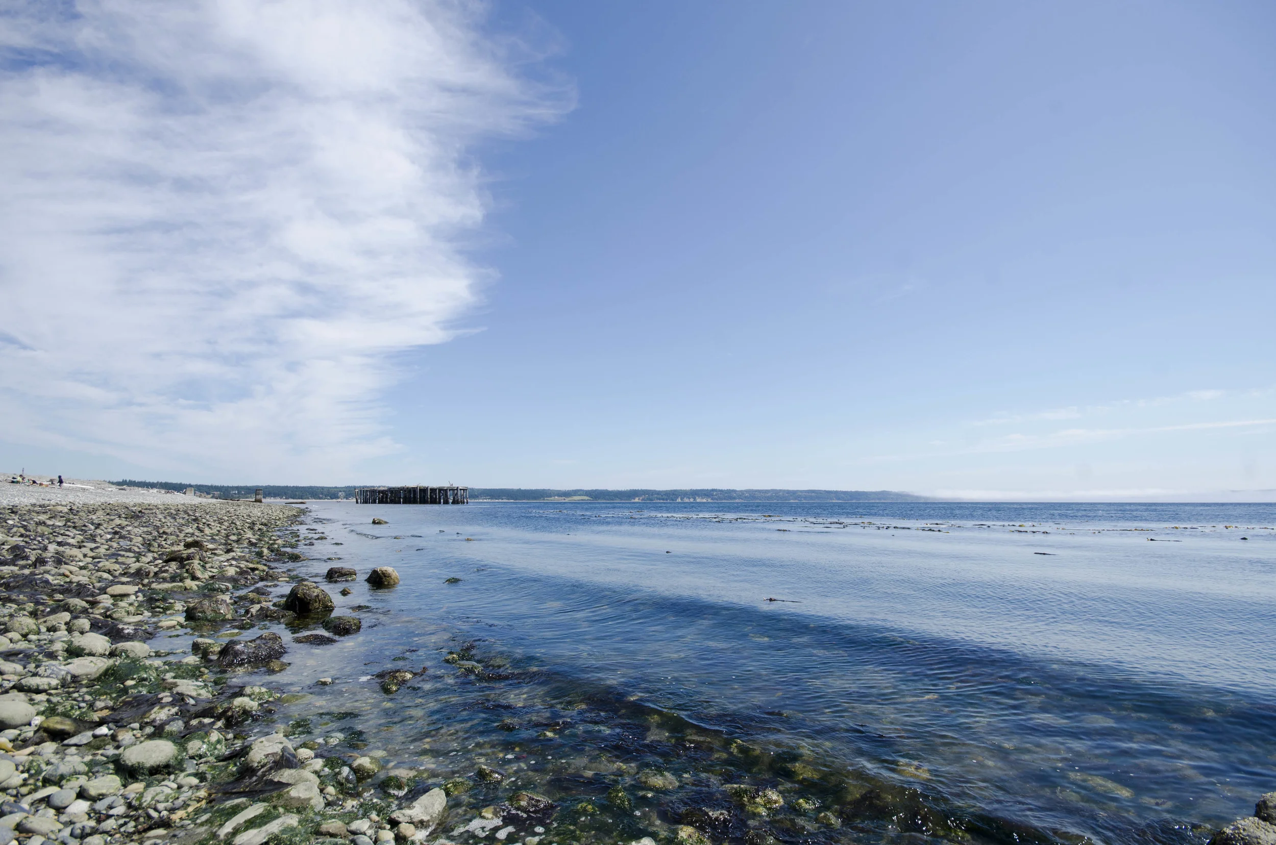 Day 35: 125 miles, 2 ferries, a serious case of deja vu and a magical forest