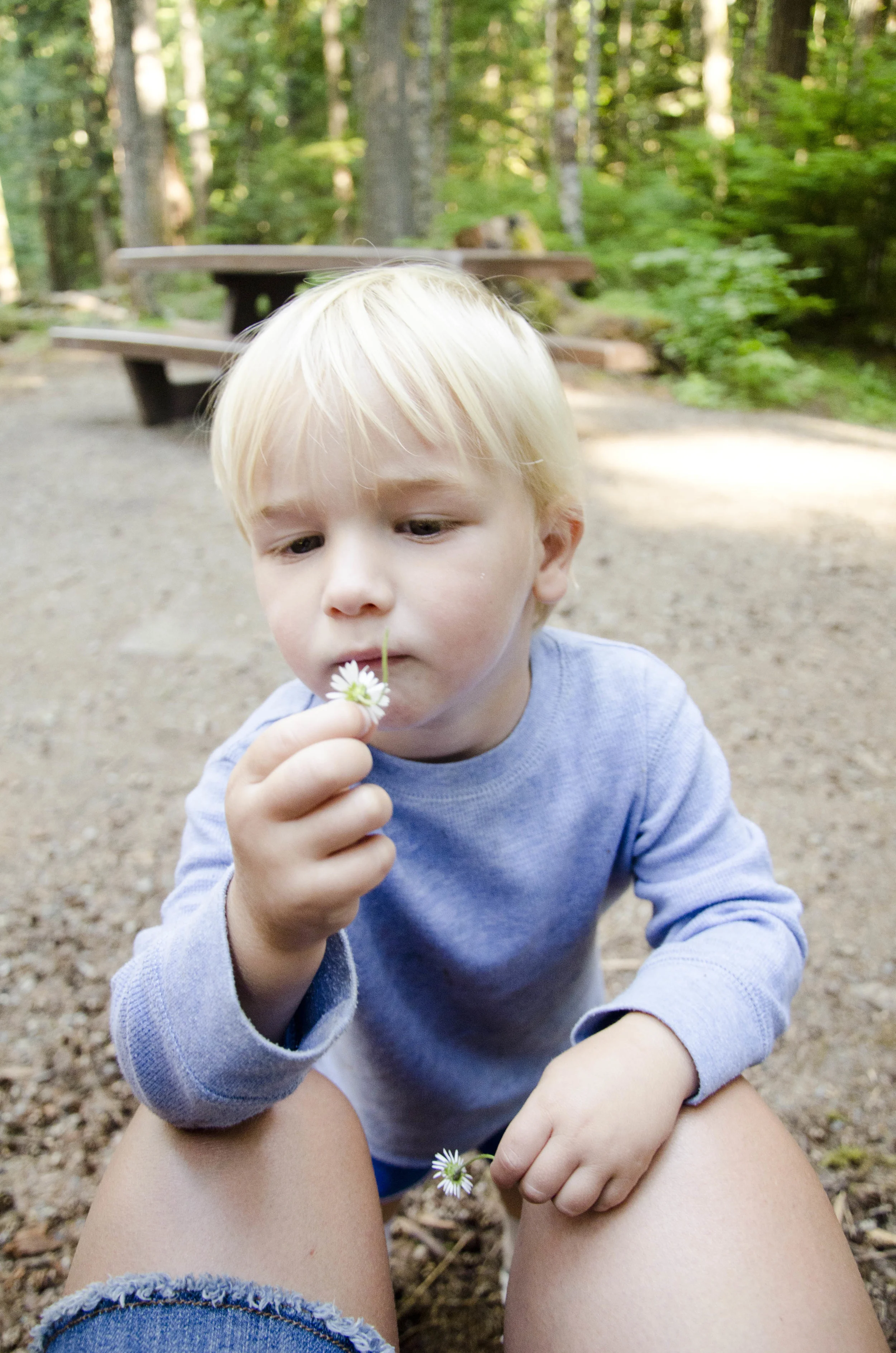 Day 35: 125 miles, 2 ferries, a serious case of deja vu and a magical forest