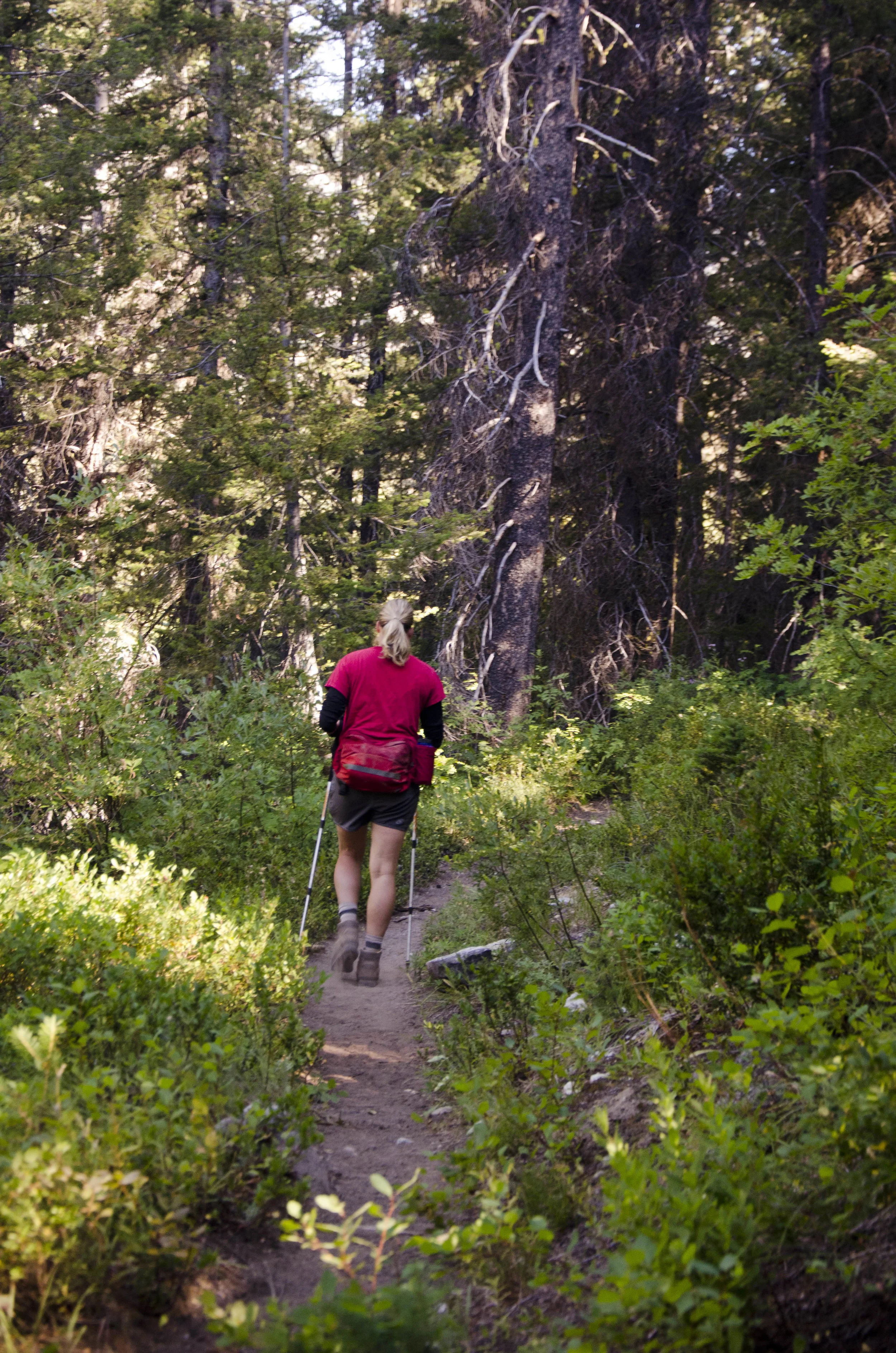 Day 31: 14 miles for vistas and flowers