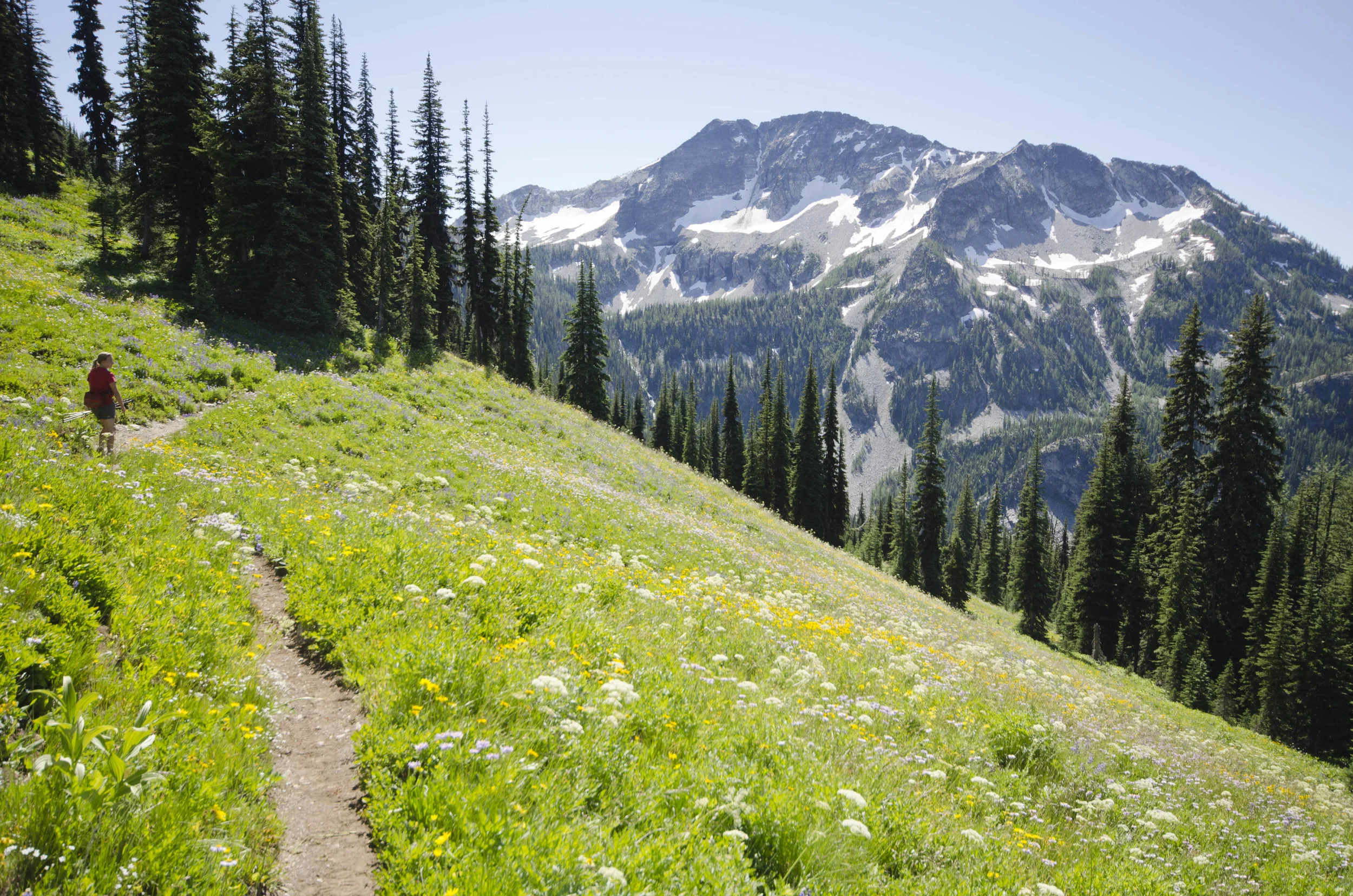 Day 31: 14 miles for vistas and flowers
