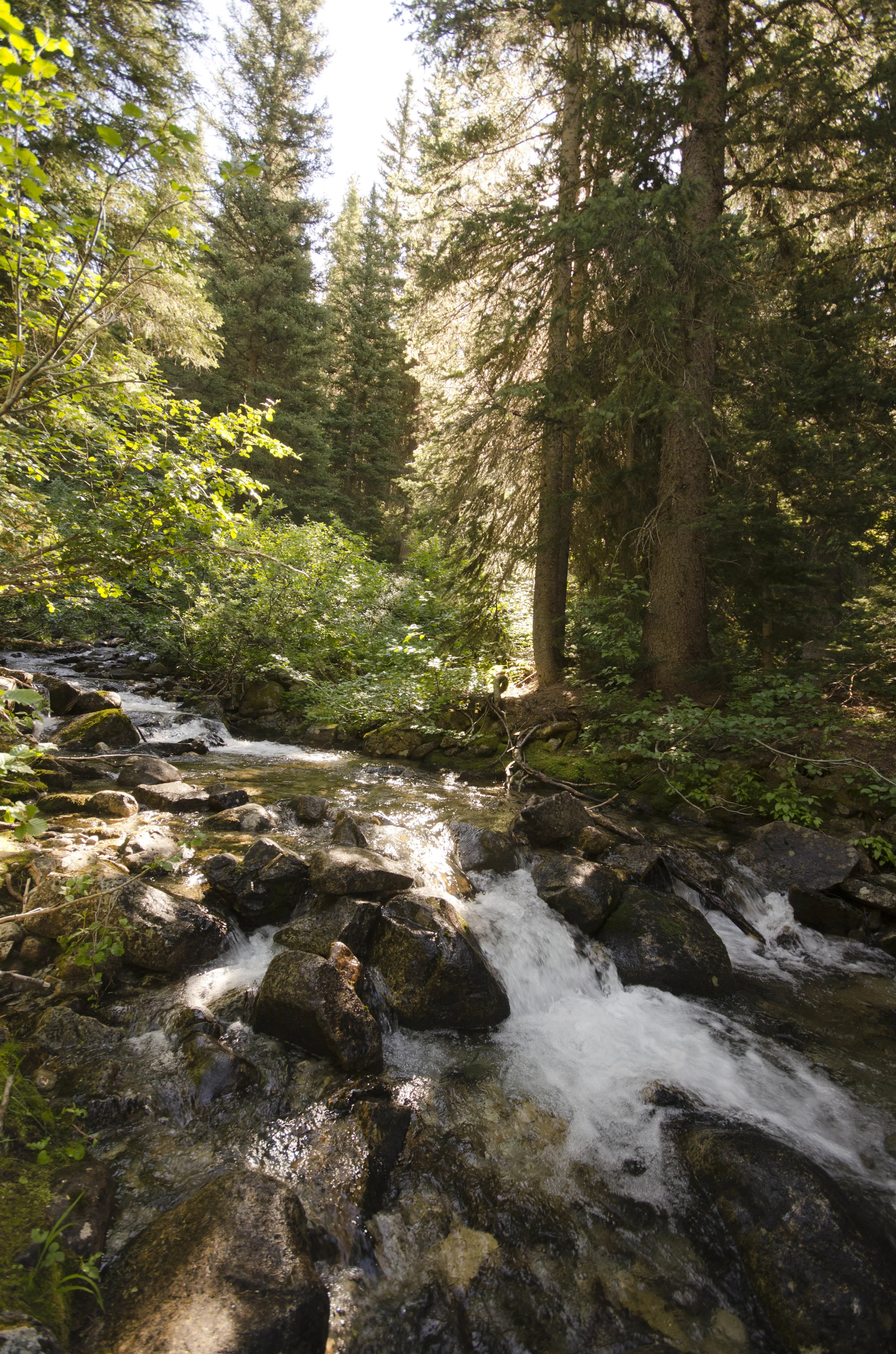 Day 31: 14 miles for vistas and flowers