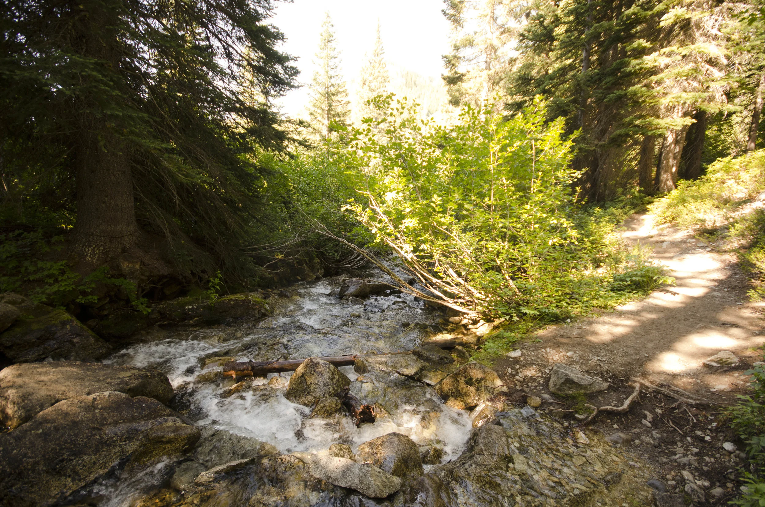 Day 31: 14 miles for vistas and flowers