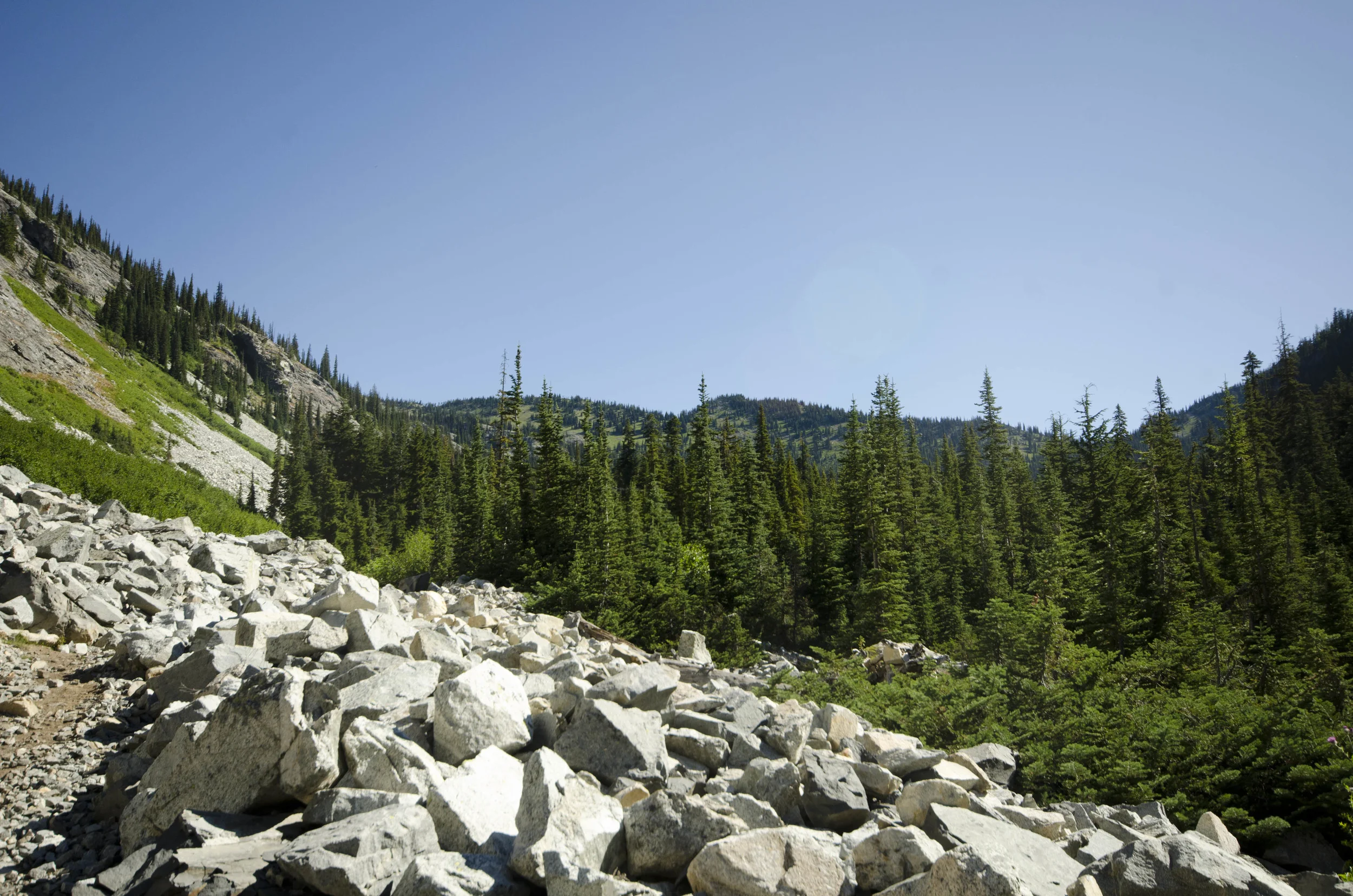 Day 31: 14 miles for vistas and flowers