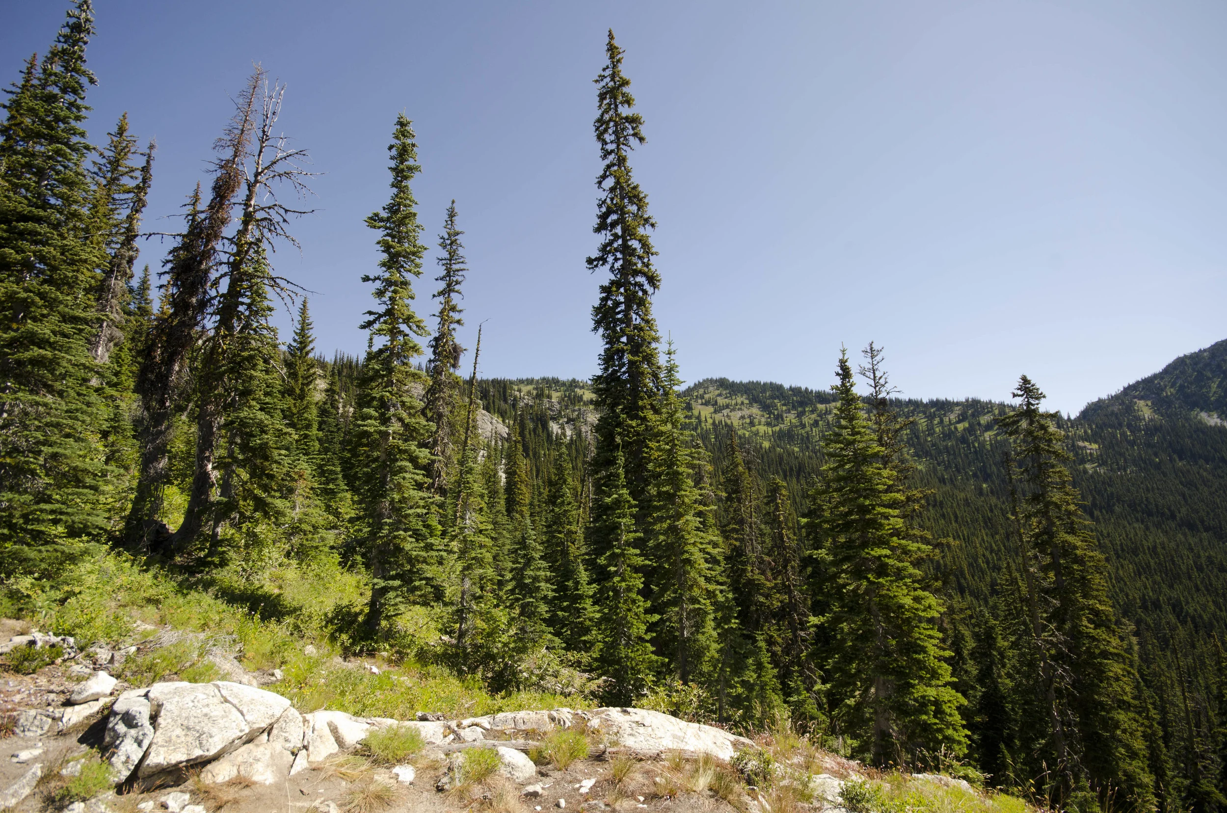 Day 31: 14 miles for vistas and flowers