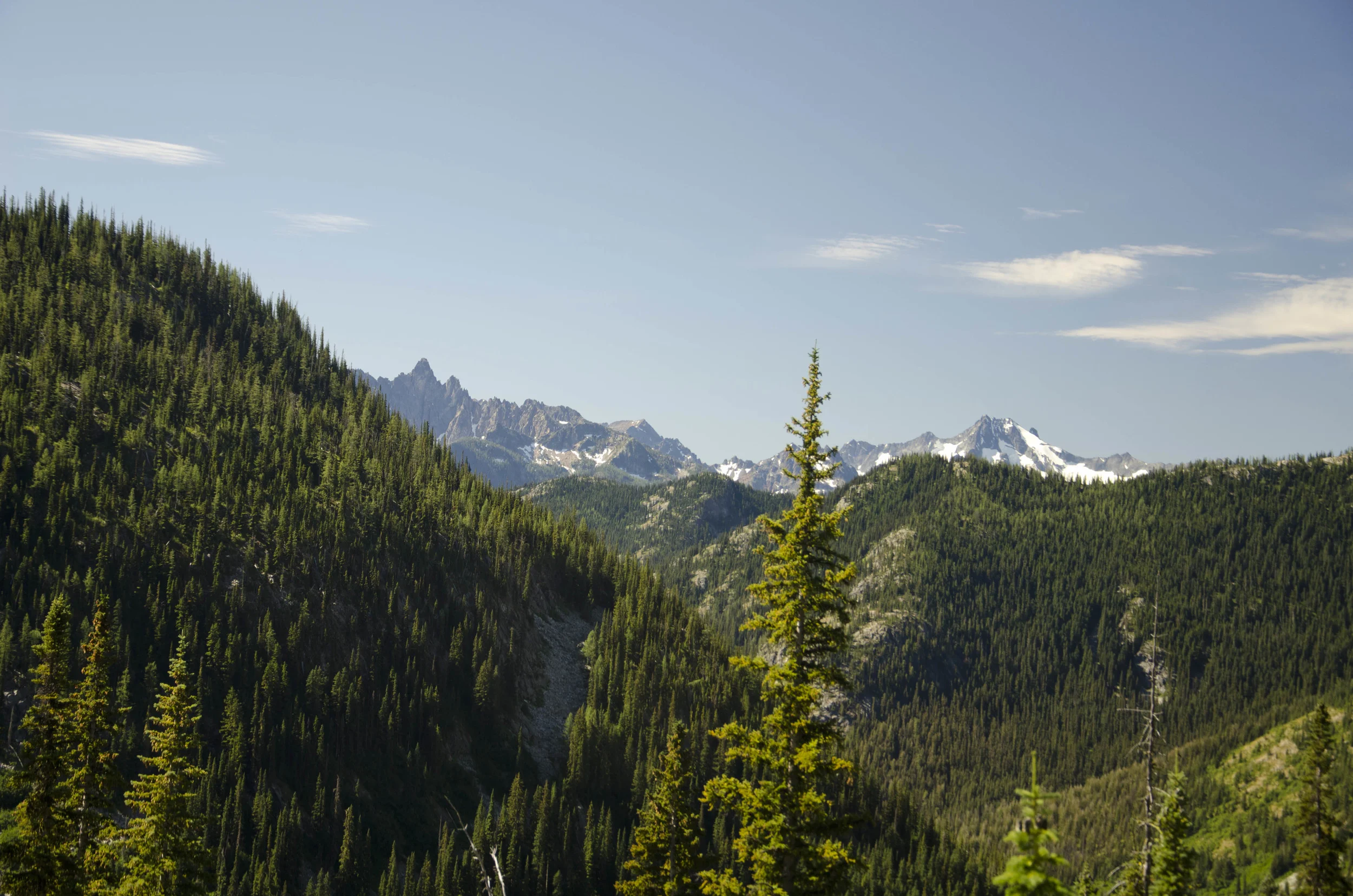 Day 31: 14 miles for vistas and flowers