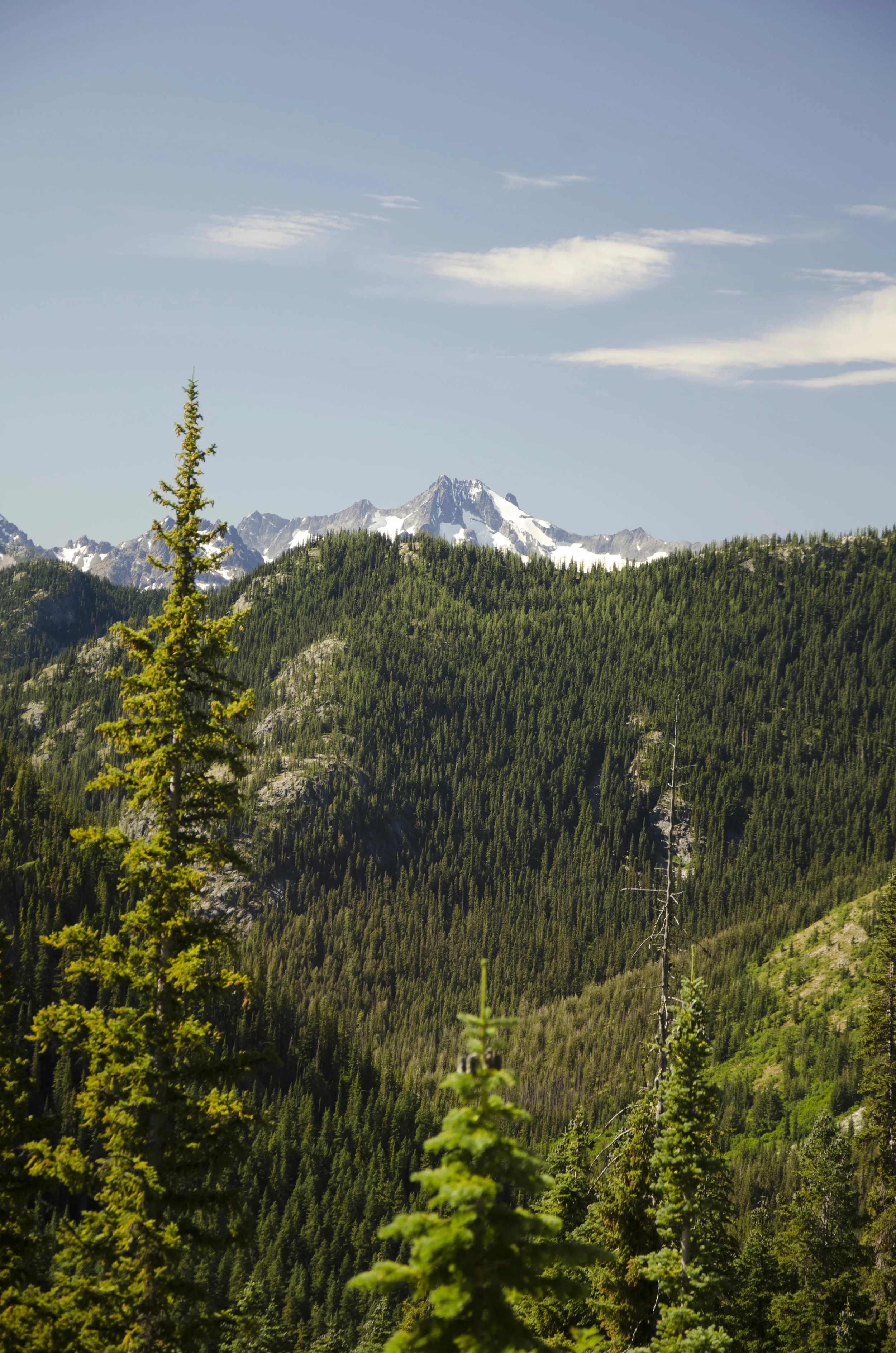 Day 31: 14 miles for vistas and flowers