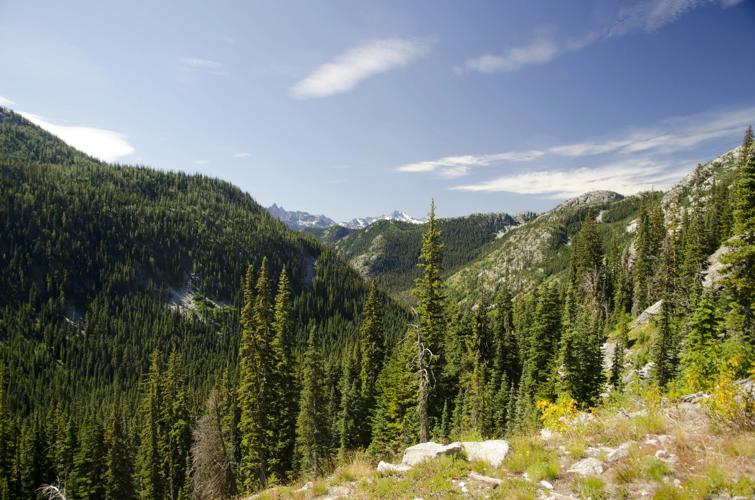 Day 31: 14 miles for vistas and flowers