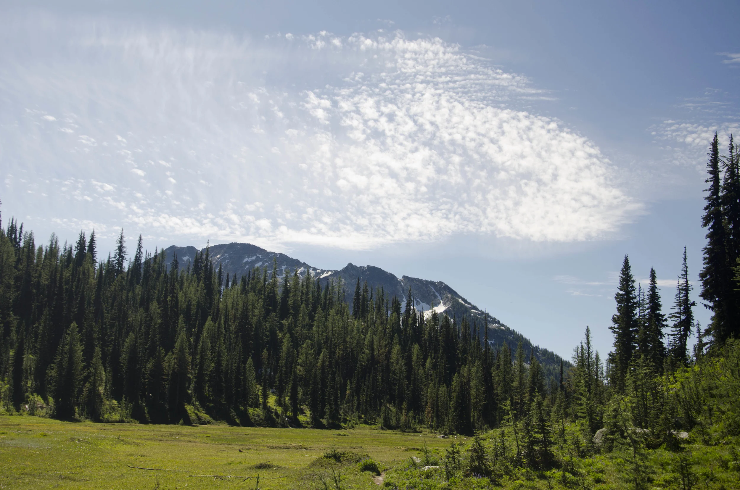 Day 31: 14 miles for vistas and flowers