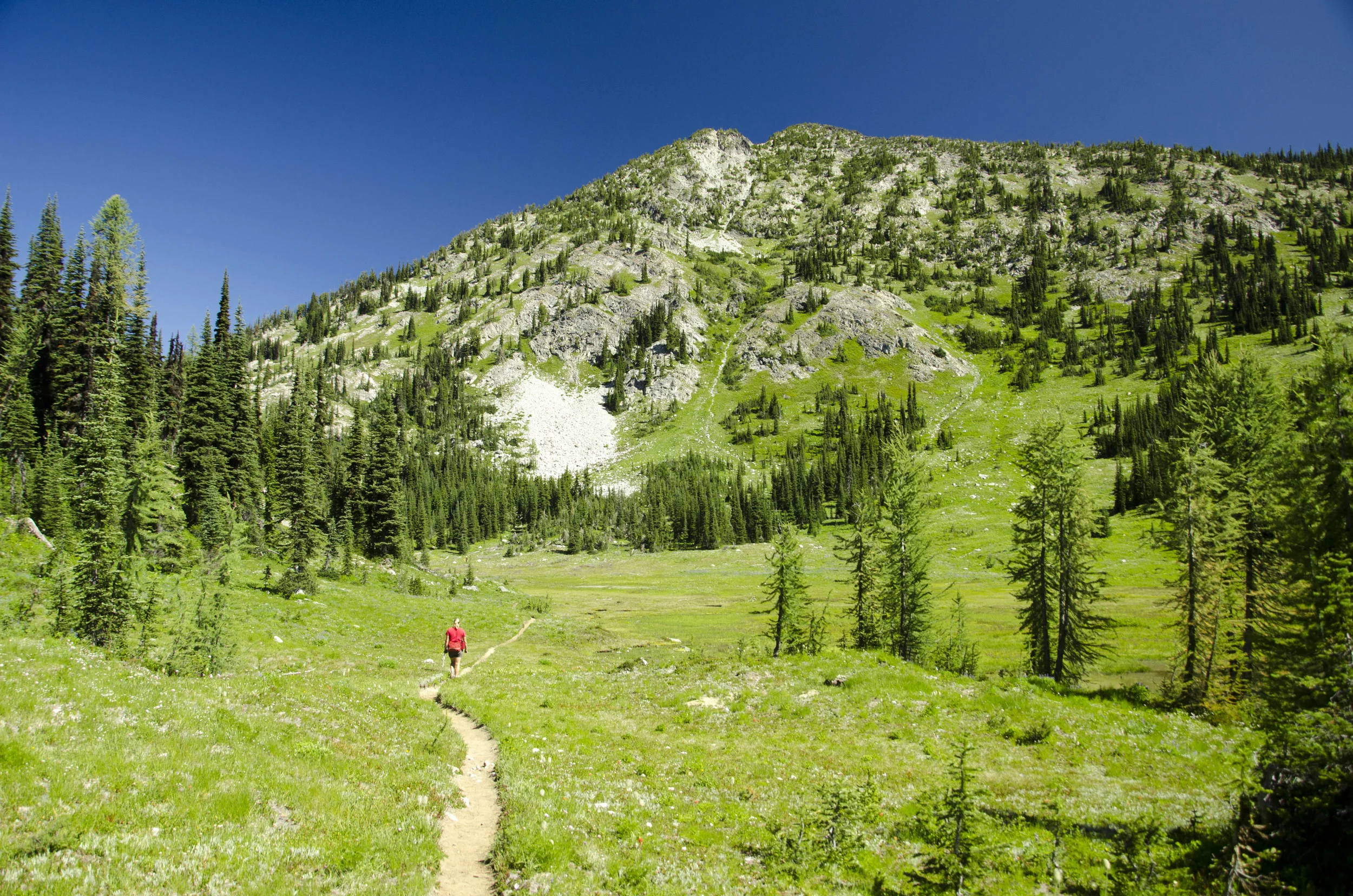 Day 31: 14 miles for vistas and flowers