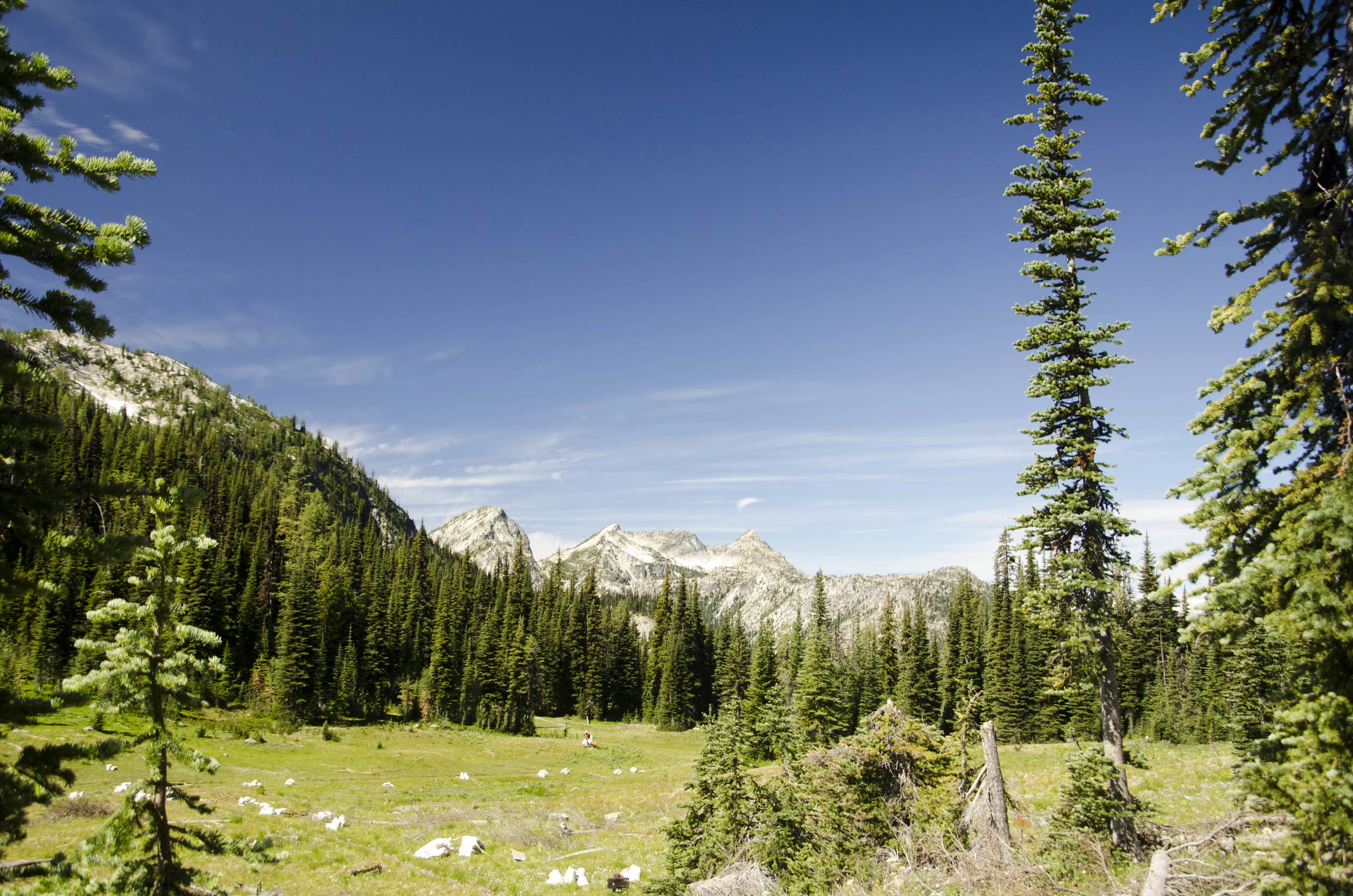 Day 31: 14 miles for vistas and flowers