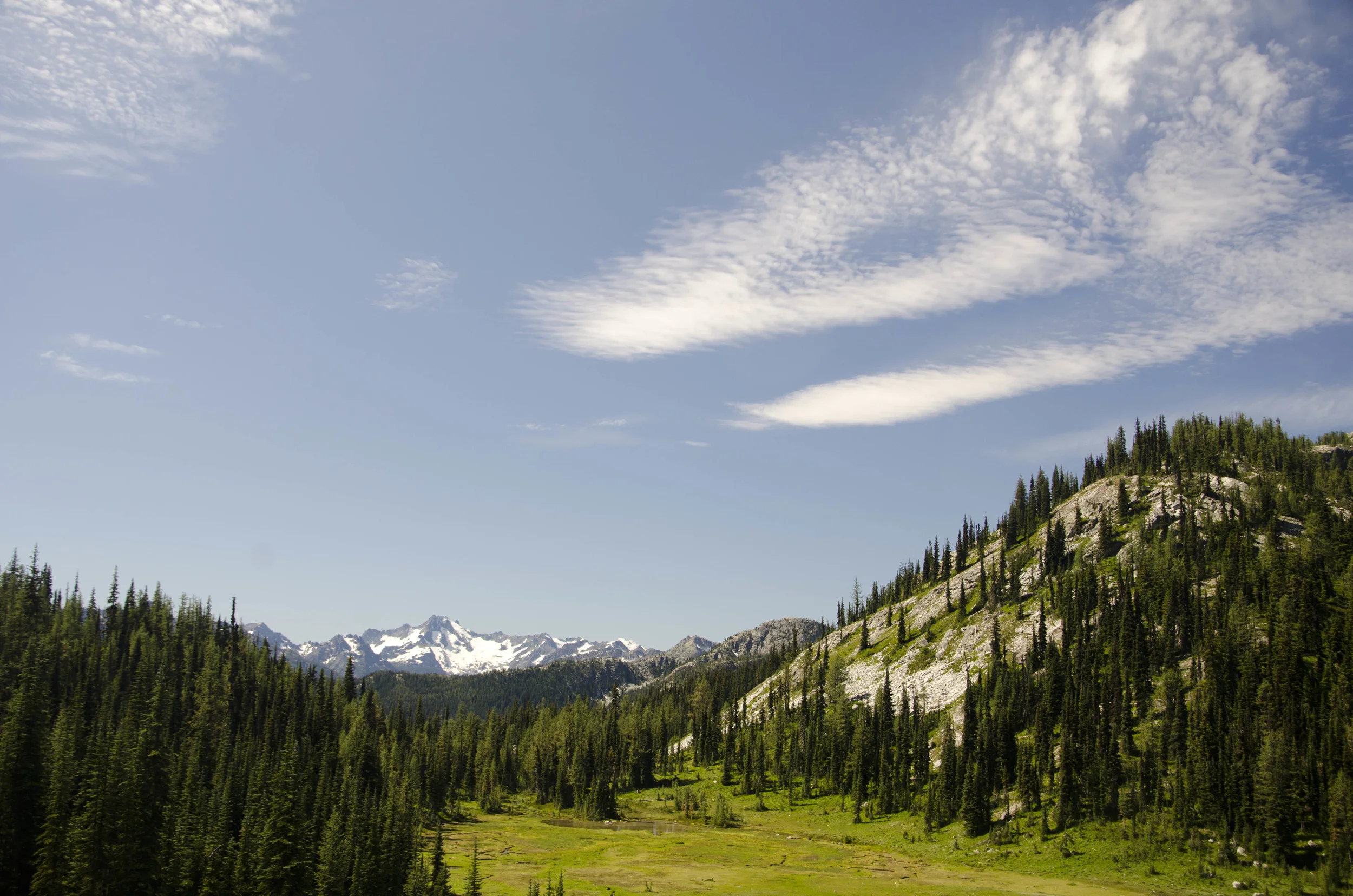 Day 31: 14 miles for vistas and flowers