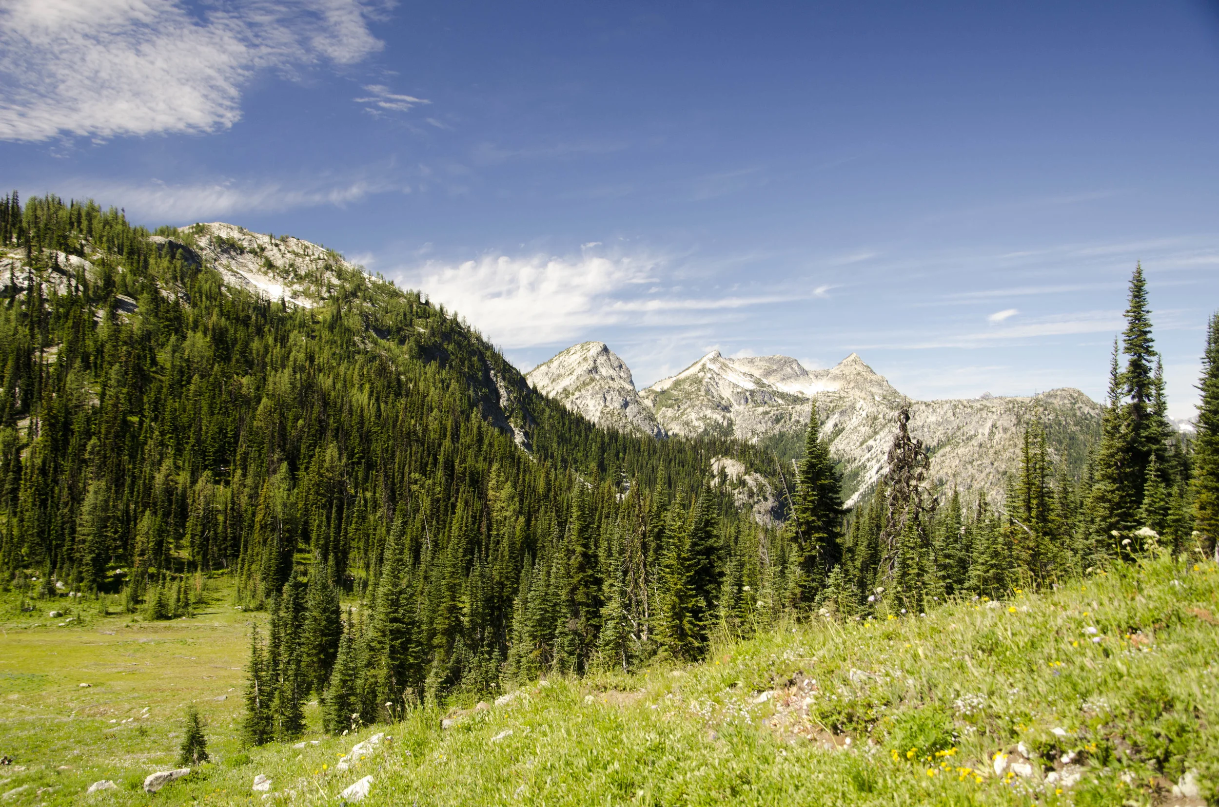 Day 31: 14 miles for vistas and flowers