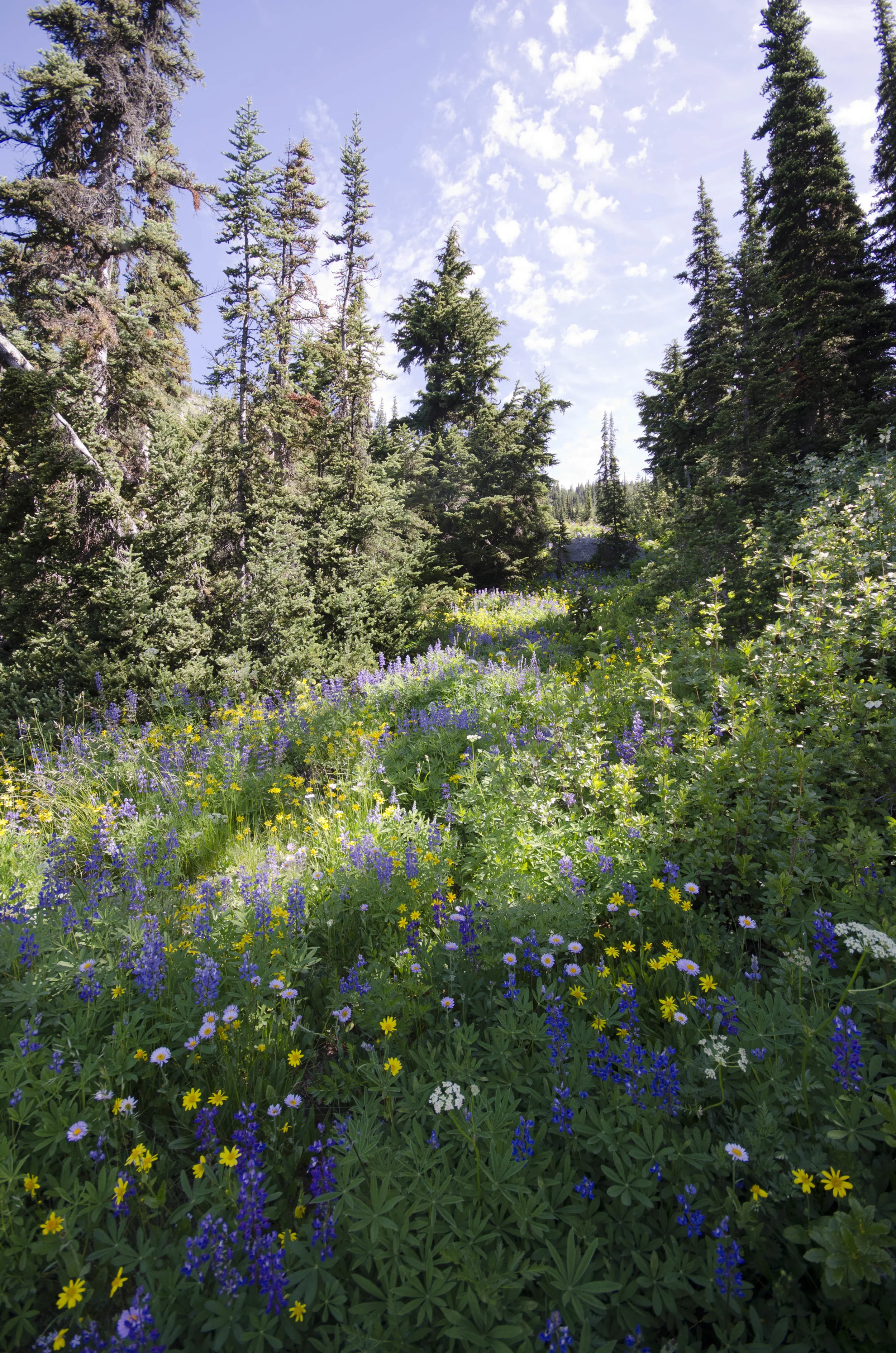 Day 31: 14 miles for vistas and flowers