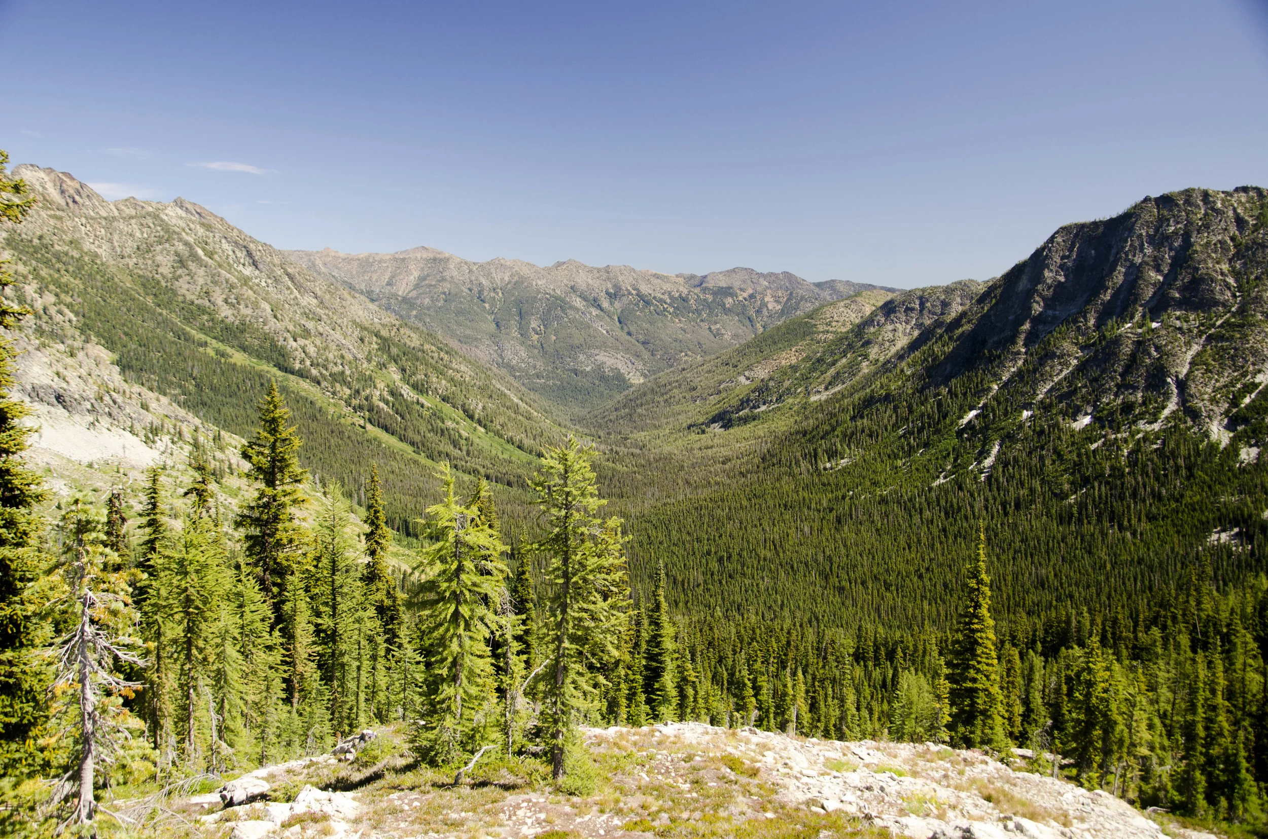 Day 31: 14 miles for vistas and flowers